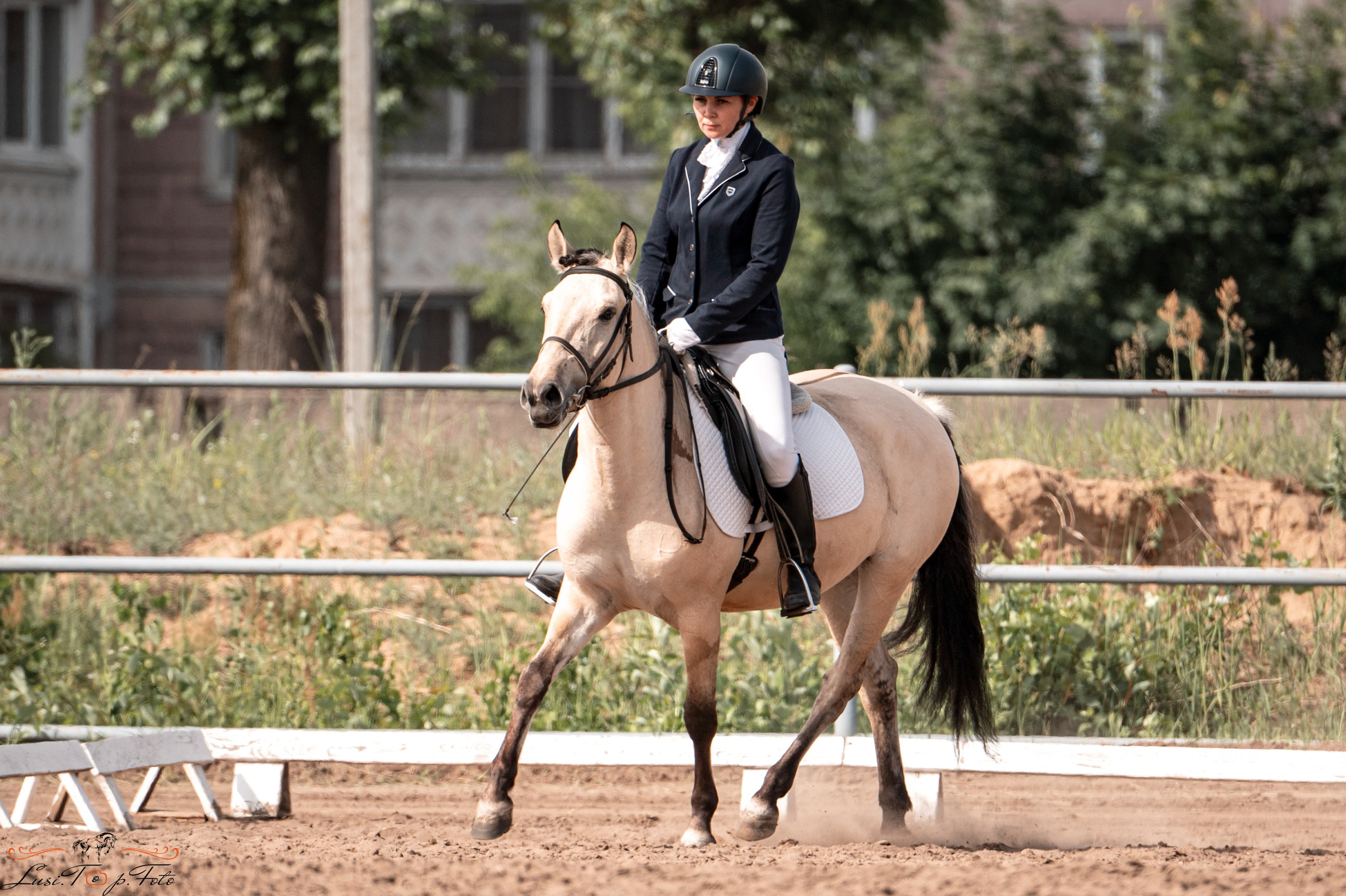 Областные соревнования по выездке. Тверь. Конный и фотограф с животными в Твери Топталова Люся