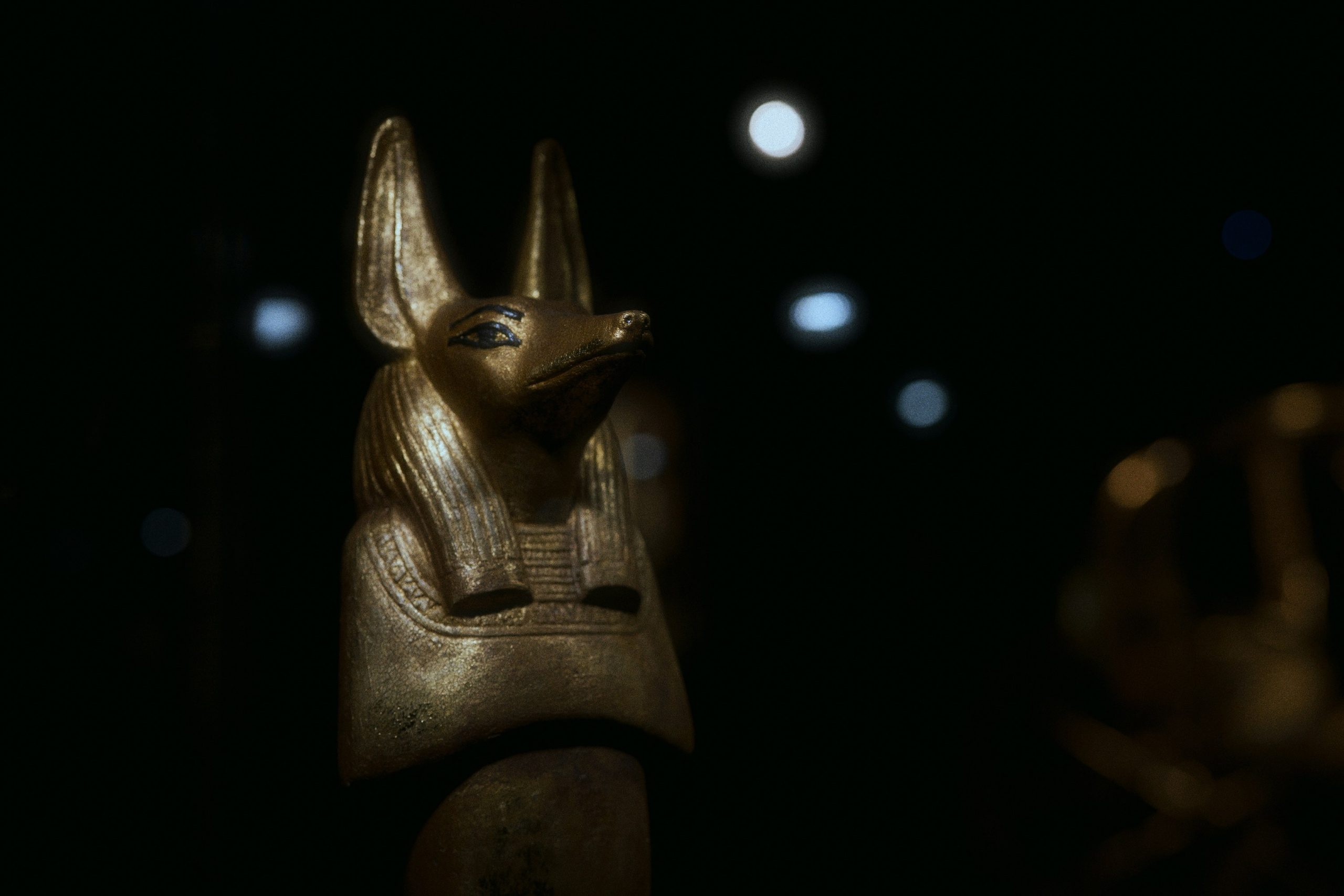Tomb of Tut Ankh Amun. Фотограф Юрин Евгений