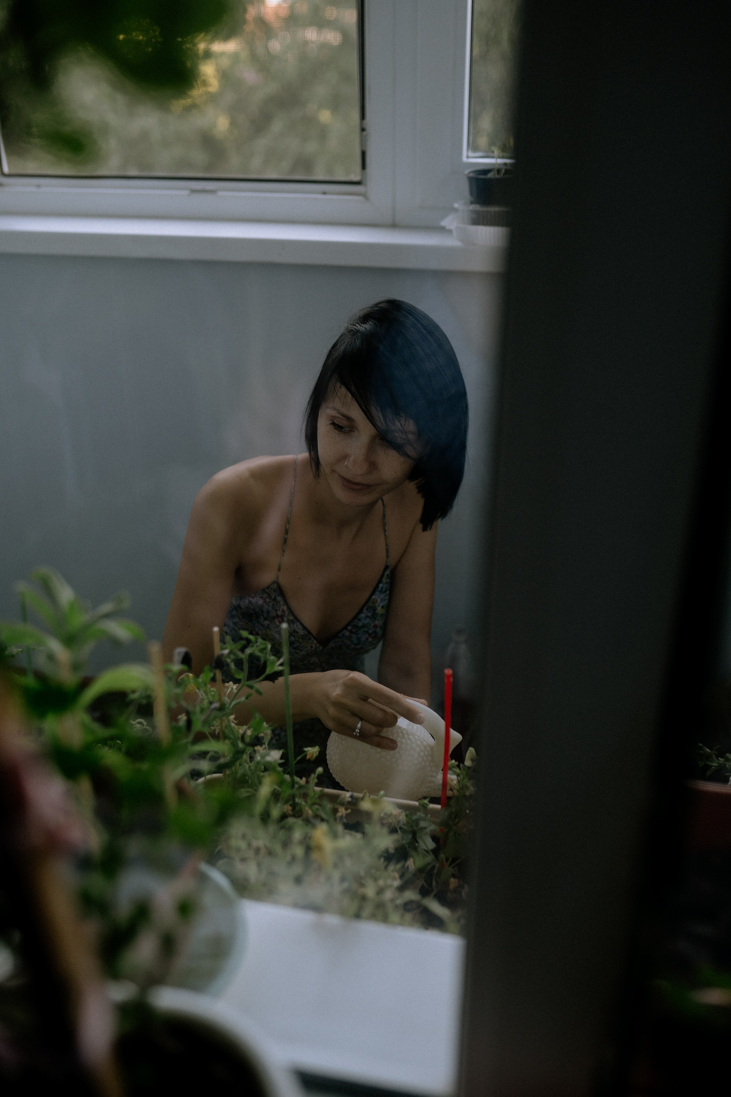 Мир, где рожден помидор. Андрейко Надежда