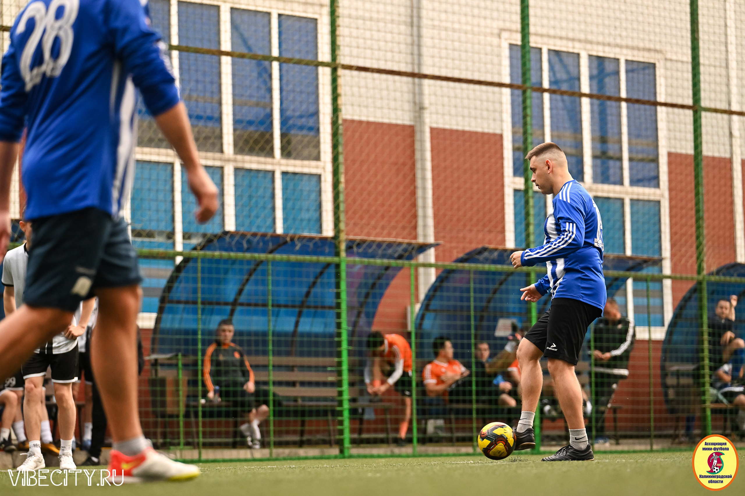 ИГРЫ МИНИ-ФУТБОЛЬНОЙ И КОРПОРАТИВНОЙ ЛИГИ. VIBECITY.RU Вайб Сити Ру Фоторепортажи Фотоотчеты Калининград