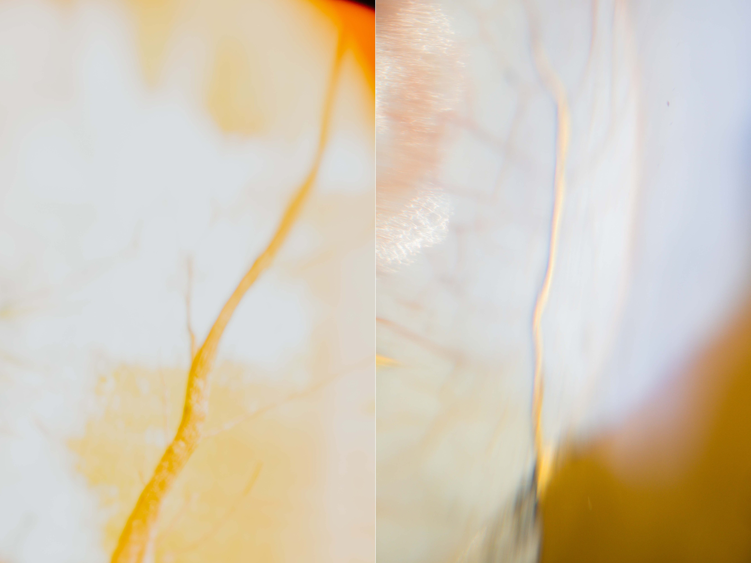 СВЕТ СКВОЗЬ ВРЕМЯ. HOME