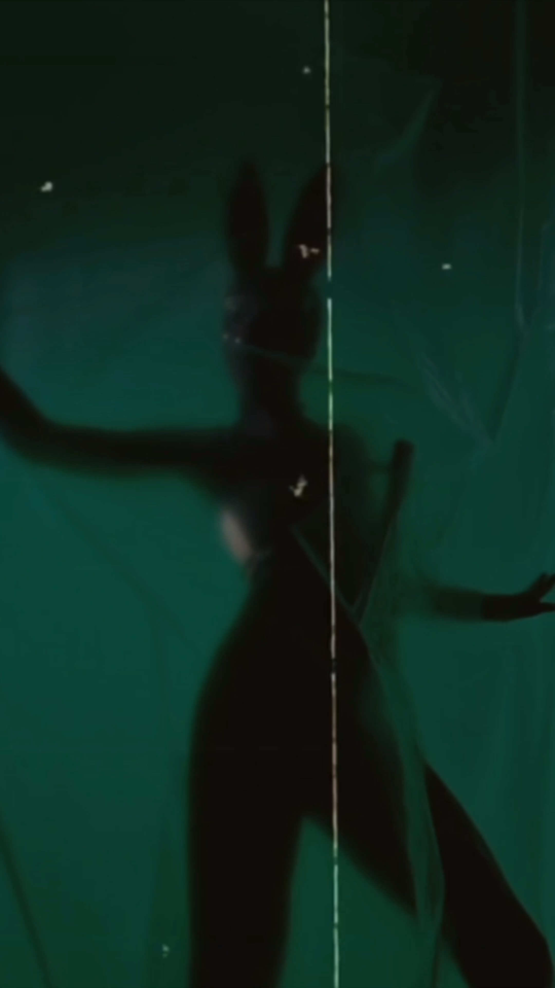 The Emerald Room. Yulia Yurchevskaya | Art Director & Visual Visionary