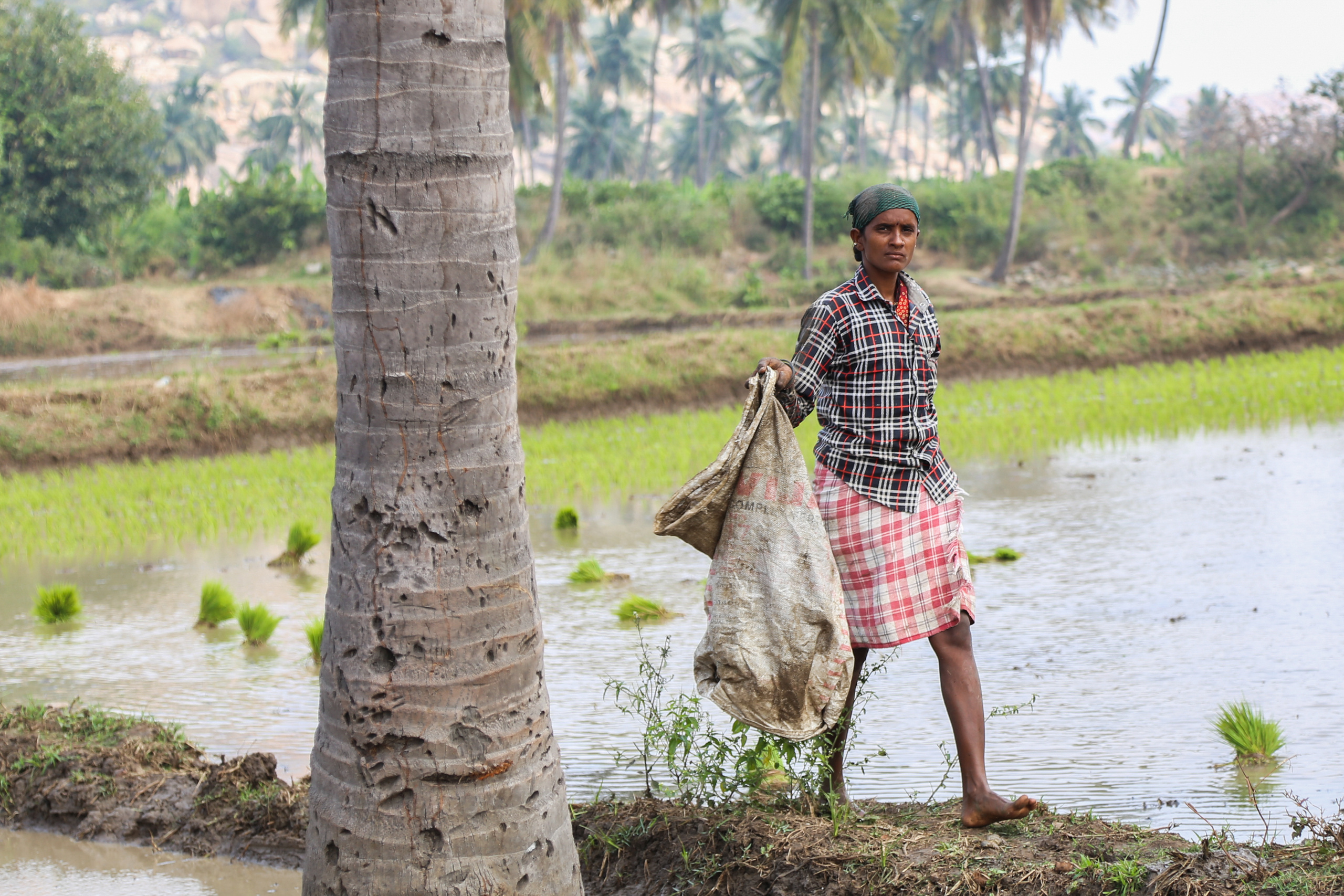 Хампи — деревня посреди руин Виджаянагара. Индия. Фотограф Юля Постнова