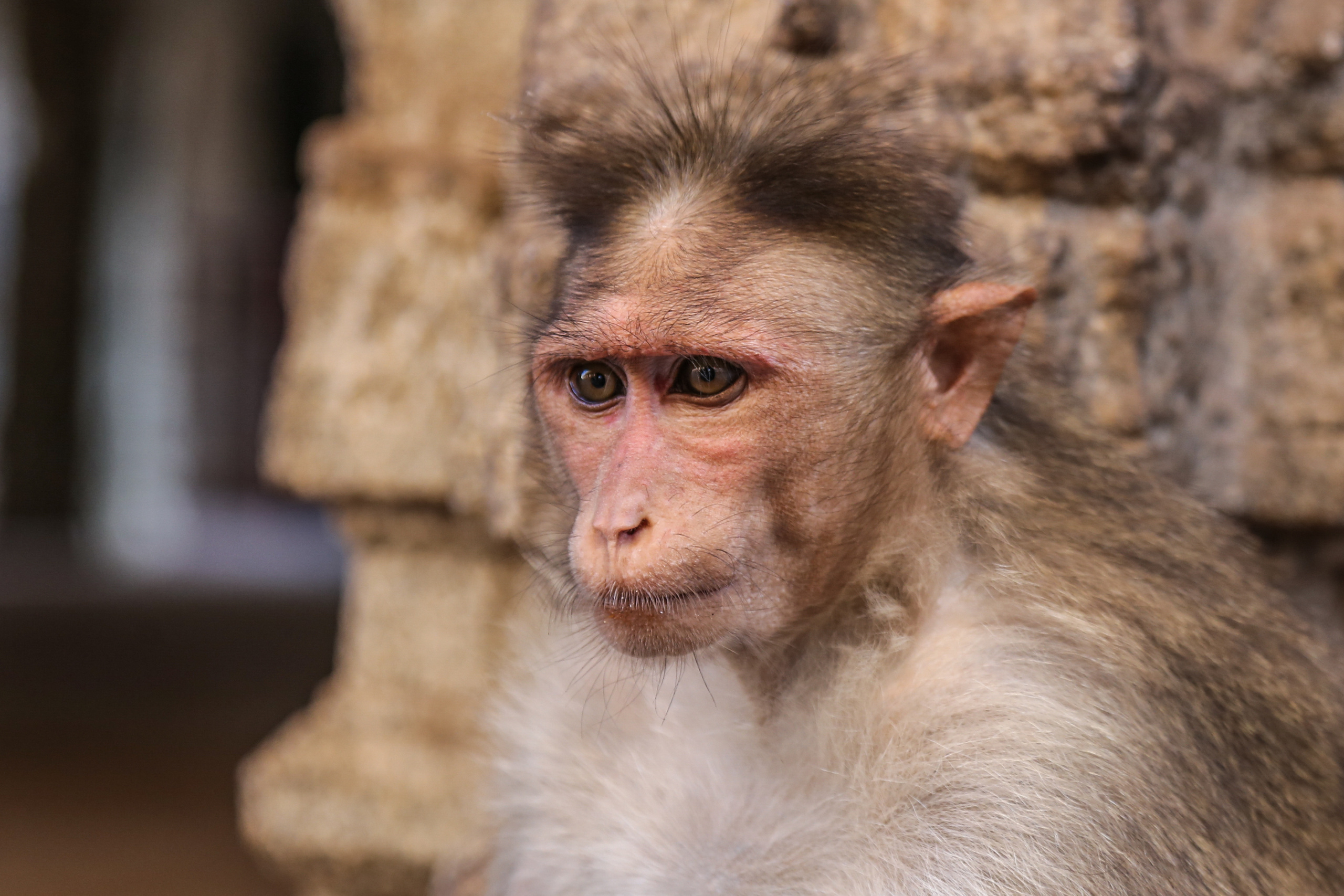 Хампи — деревня посреди руин Виджаянагара. Индия. Фотограф Юля Постнова