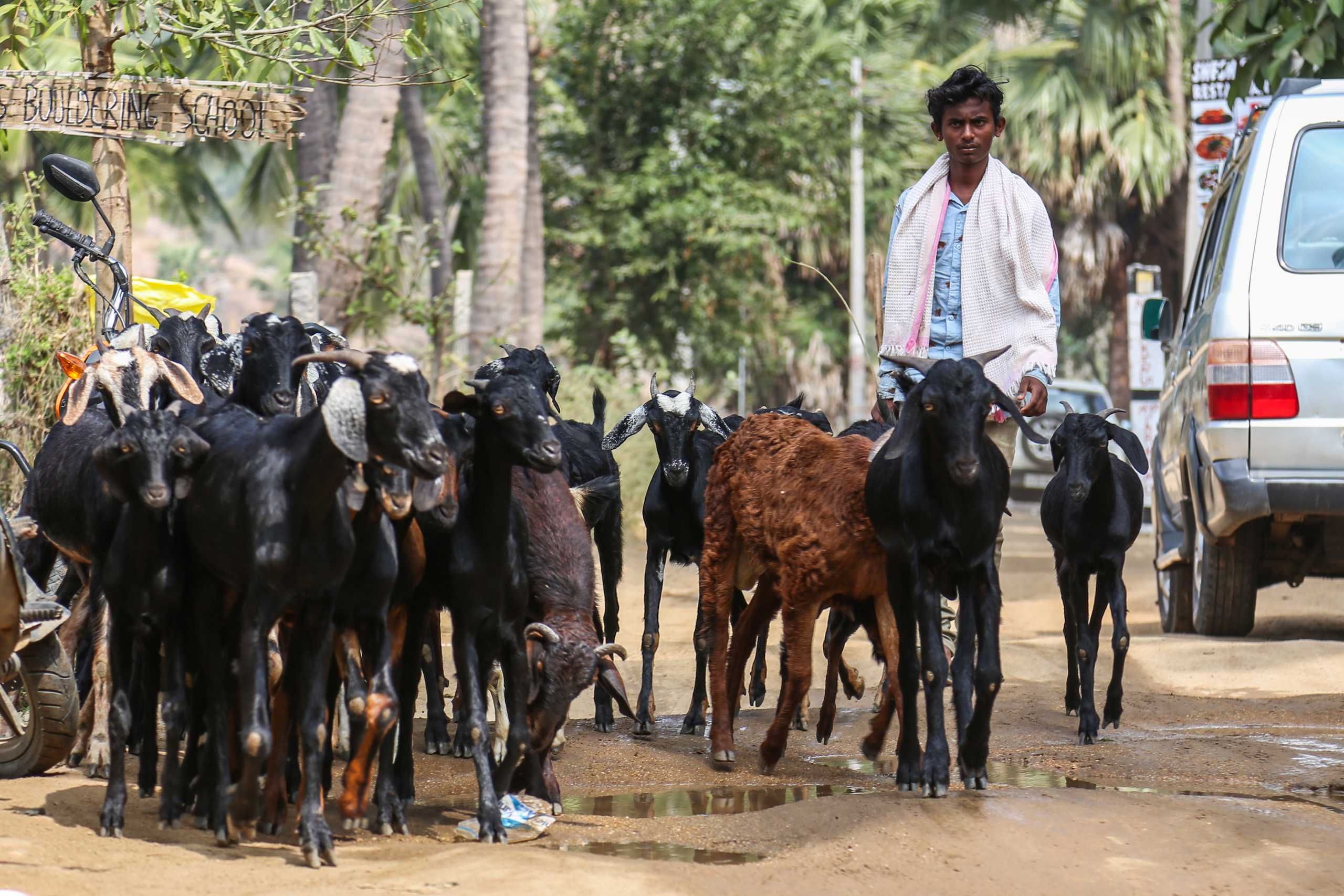 Хампи — деревня посреди руин Виджаянагара. Индия. Фотограф Юля Постнова