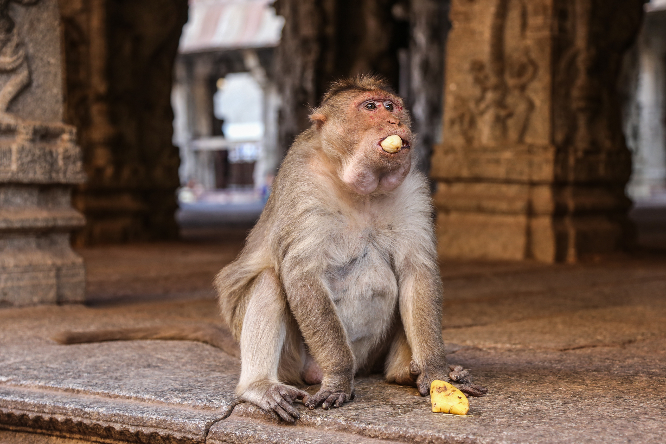 Хампи — деревня посреди руин Виджаянагара. Индия. Фотограф Юля Постнова