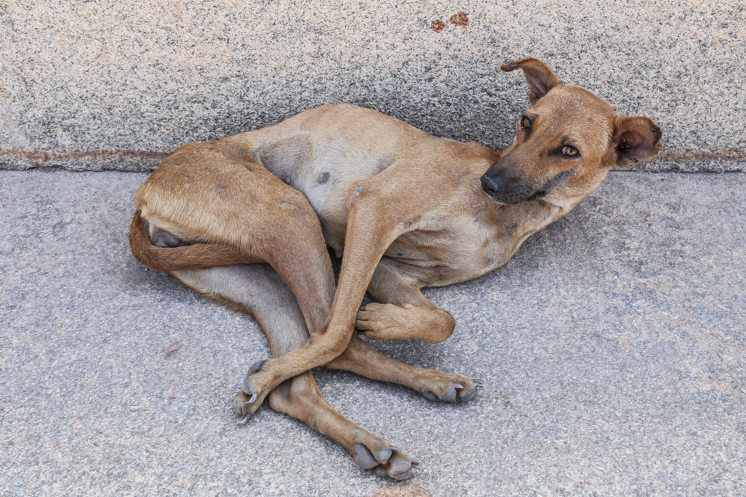 Хампи — деревня посреди руин Виджаянагара. Индия. Фотограф Юля Постнова