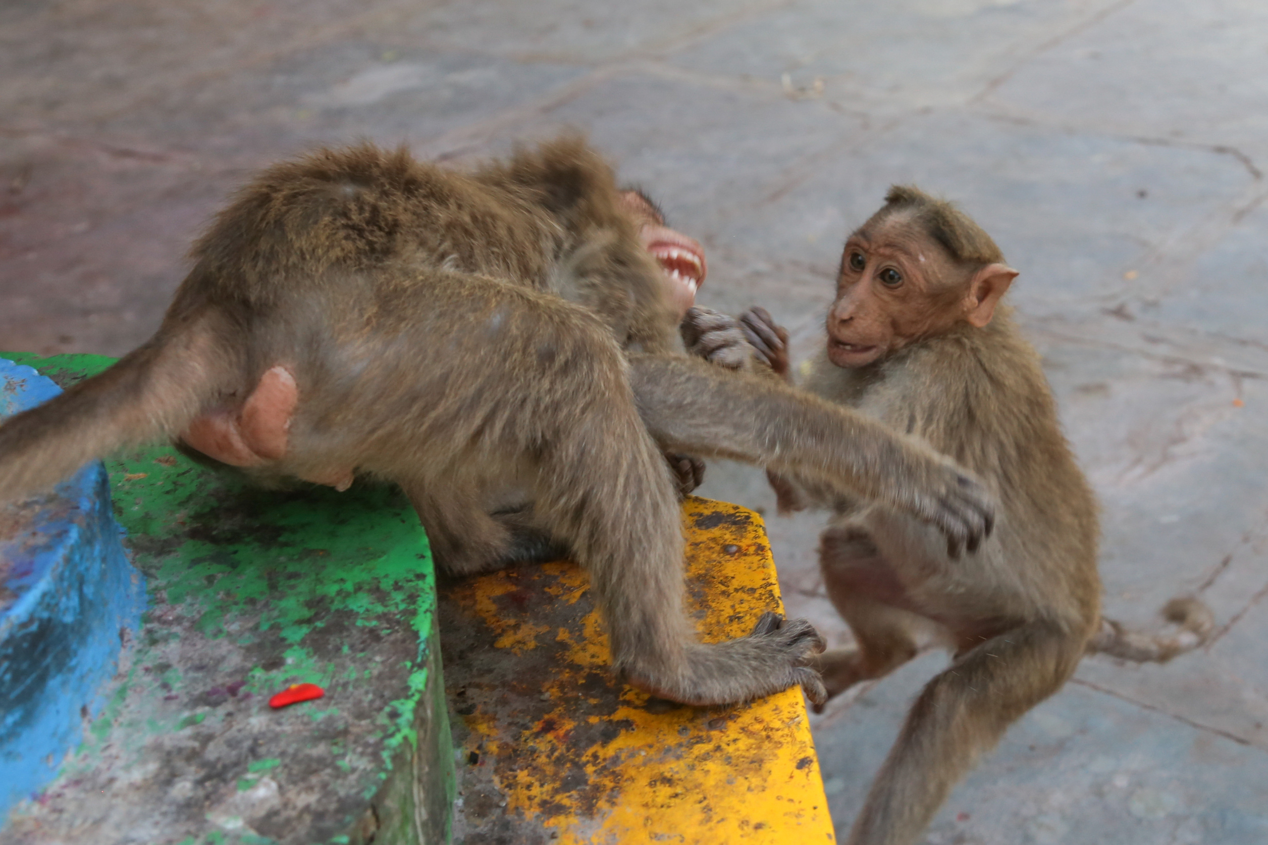 Хампи — деревня посреди руин Виджаянагара. Индия. Фотограф Юля Постнова