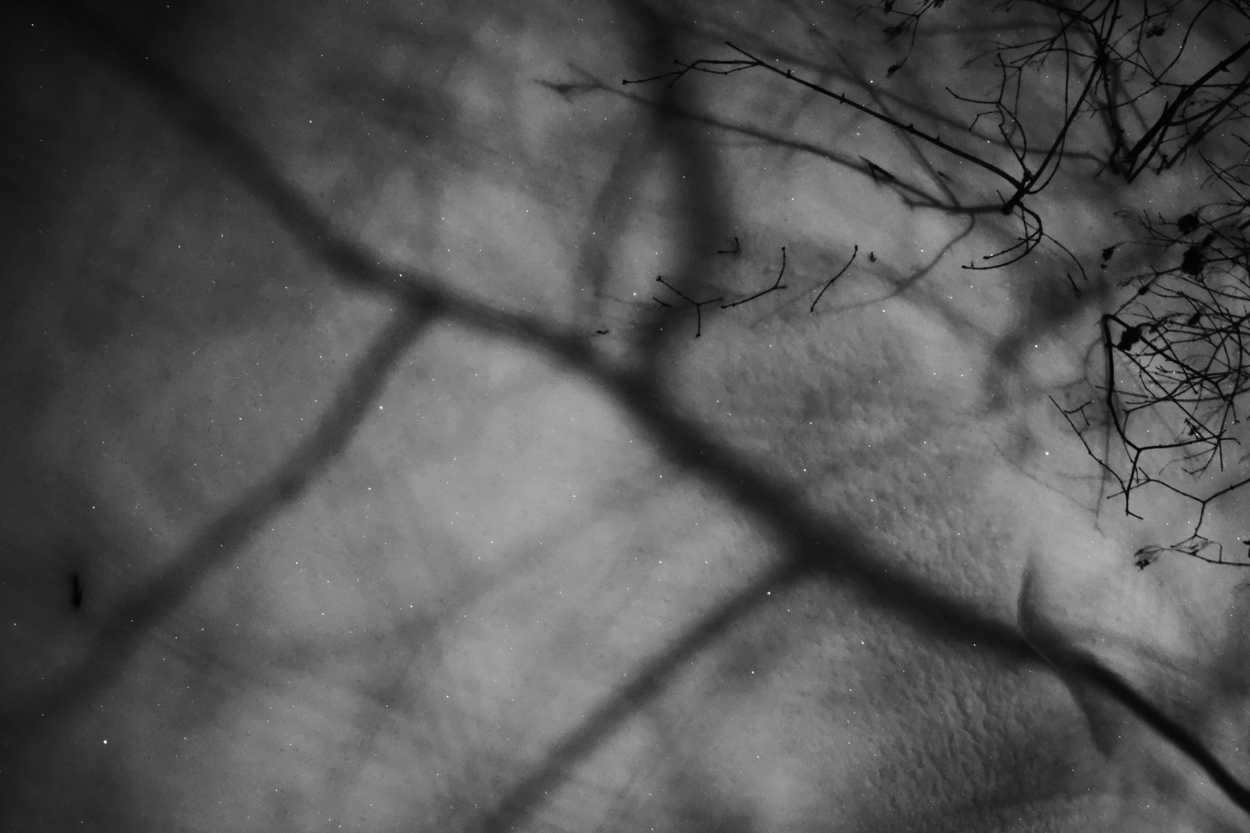 Тени зимы❄️. Миша Печёнкин | фотография