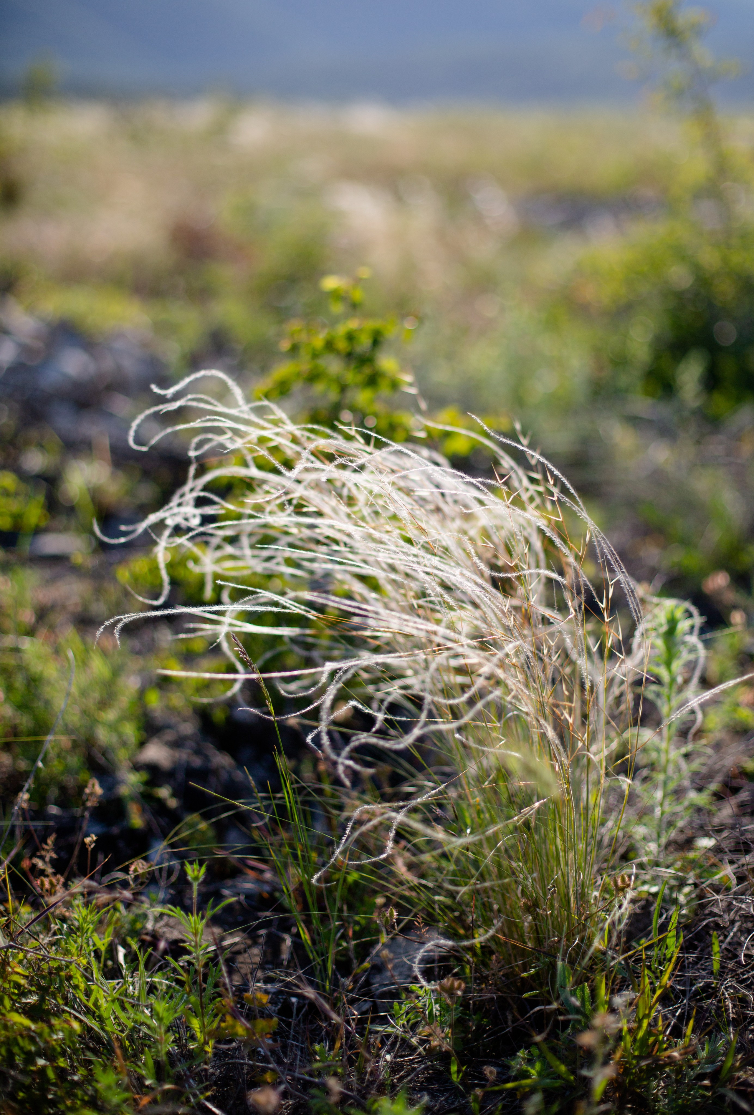 Дороги земли ветров. Портретный фотограф в Москве и Геленджике Кирилл Вахитов