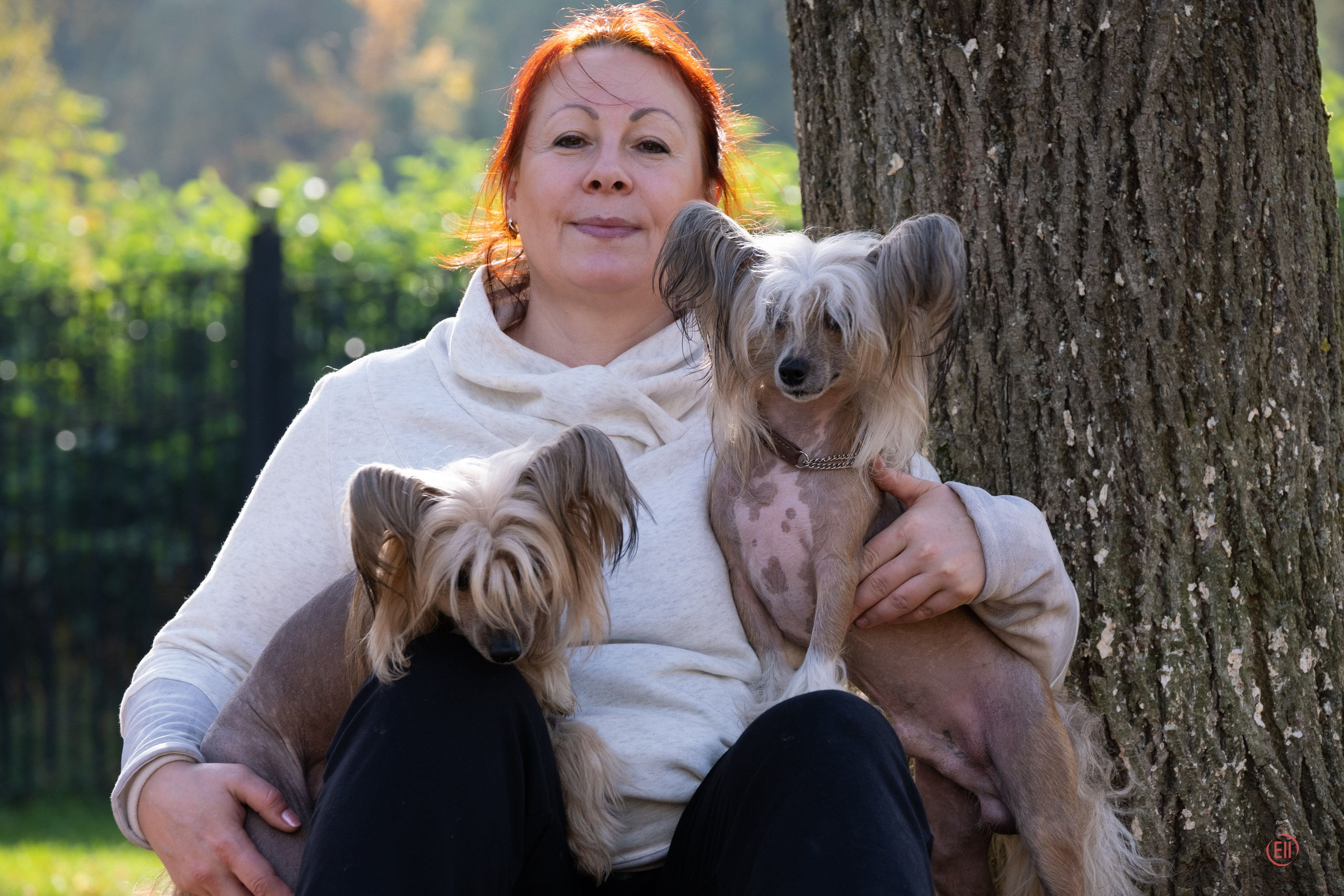 On a walk. Chinese Crested Dog Kennel Poale Ell