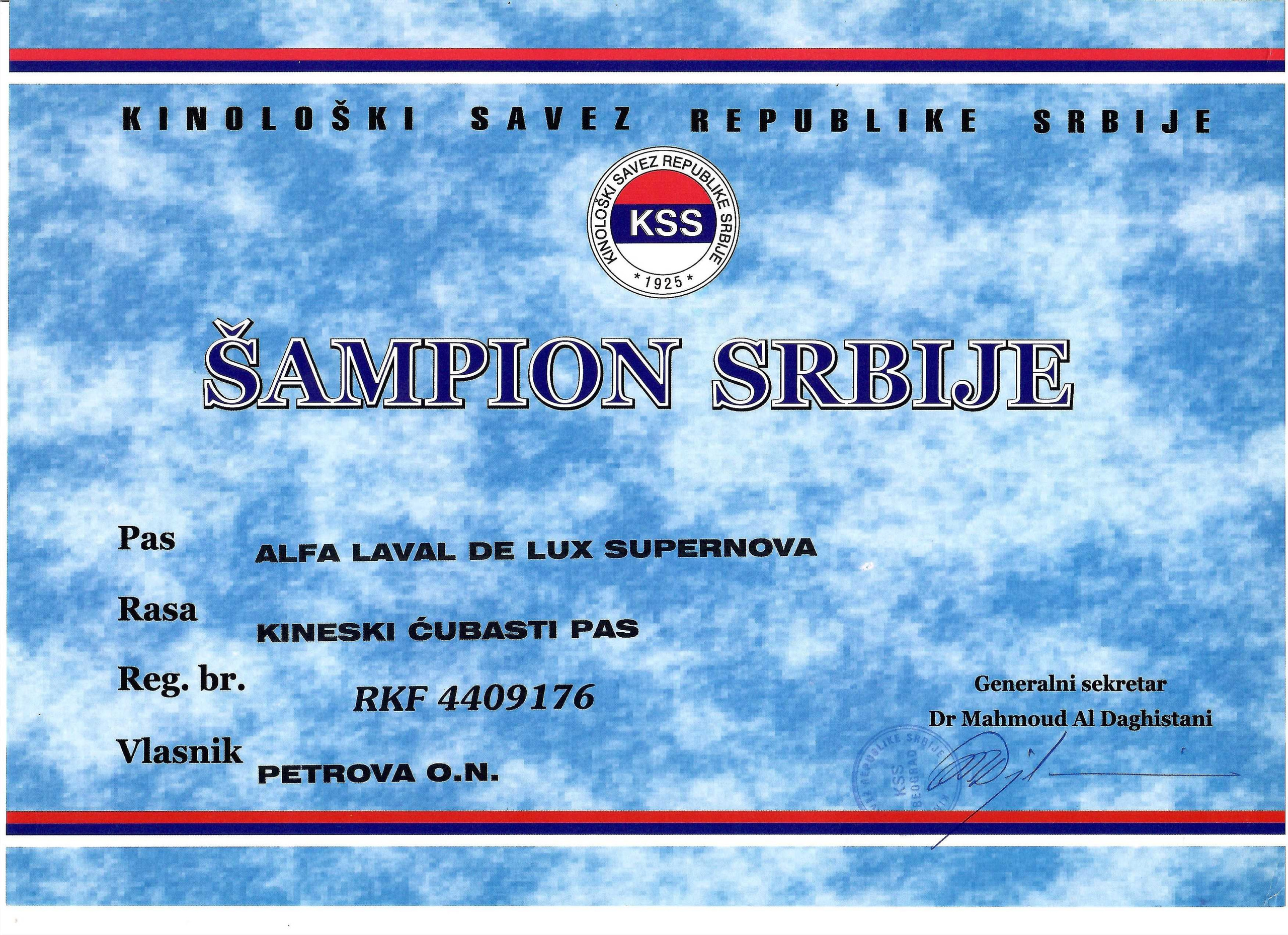 Alfa Laval De lux Supernova. Питомник китайских хохлатых собак Poale Ell: купить щенка