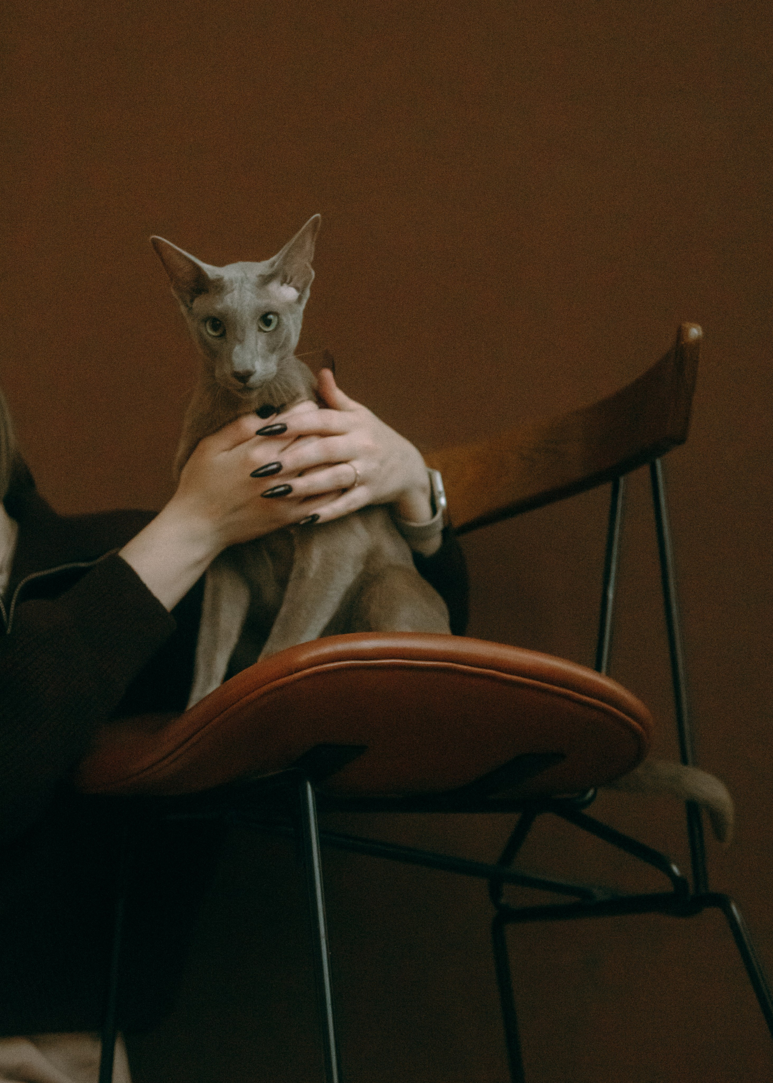 Фотограф-анималист Ксения Воробьева, Москва