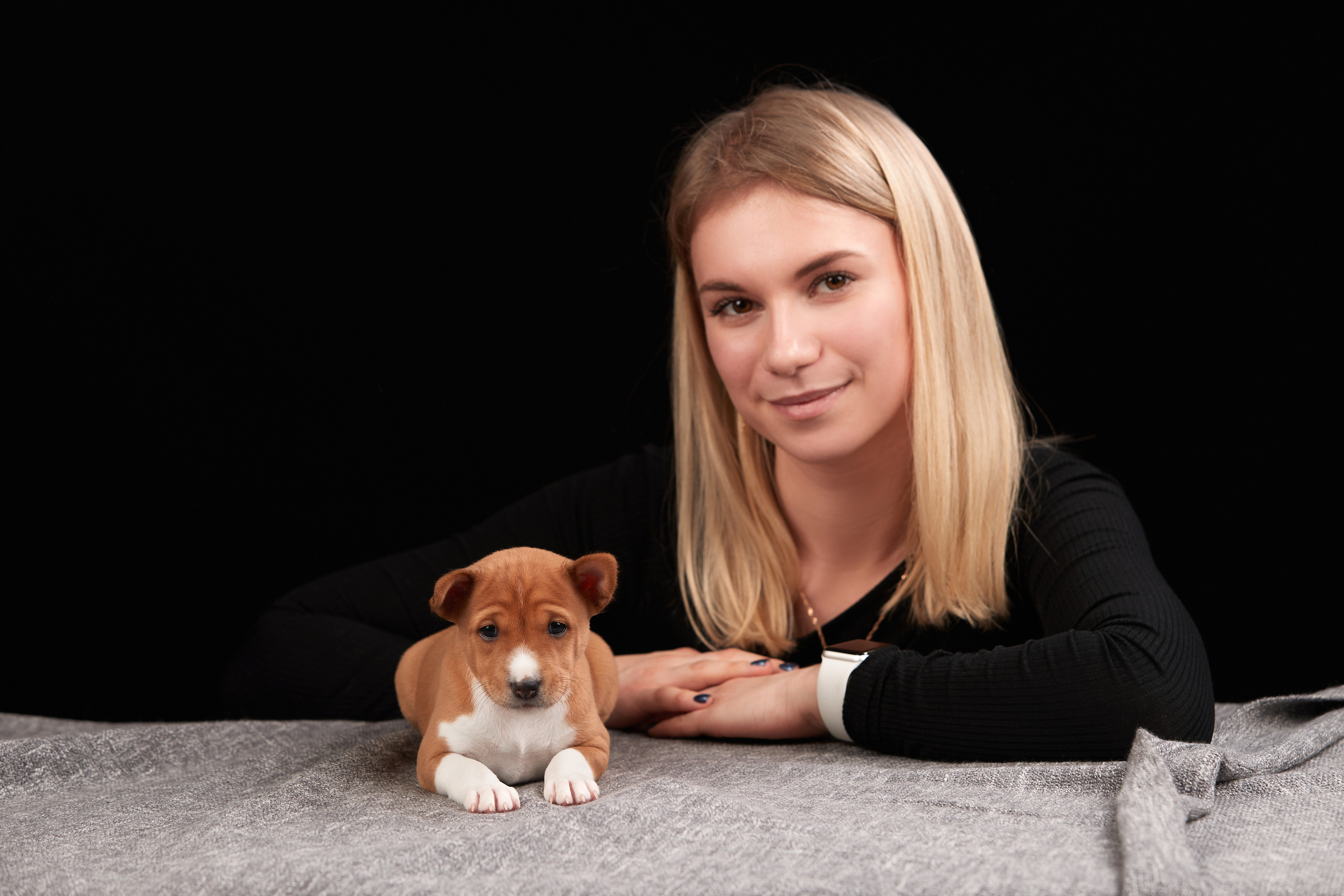 Съемка щенков на дому в Санкт-Петербурге, басенджи