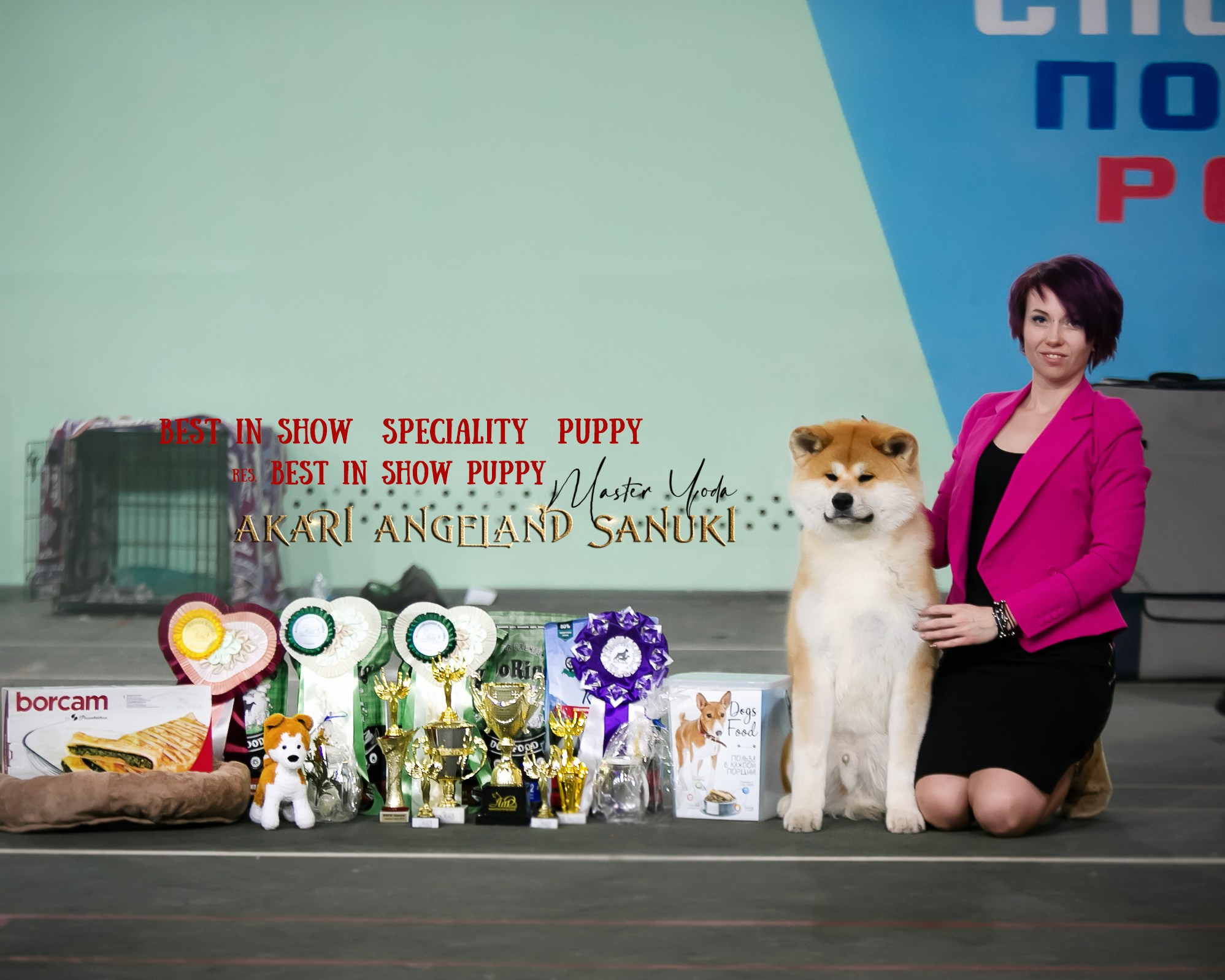 Собаки питомника Bueno Pardo. Питомник собак Акита, Хаски, Корги