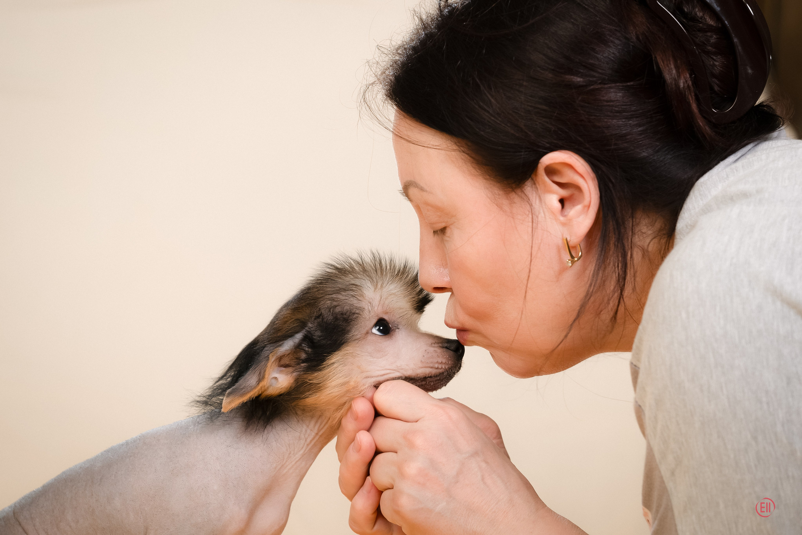 Poale Ell Zhan. Poale Ell Chinese Crested Dog Kennel: Buy a puppy from the kennel