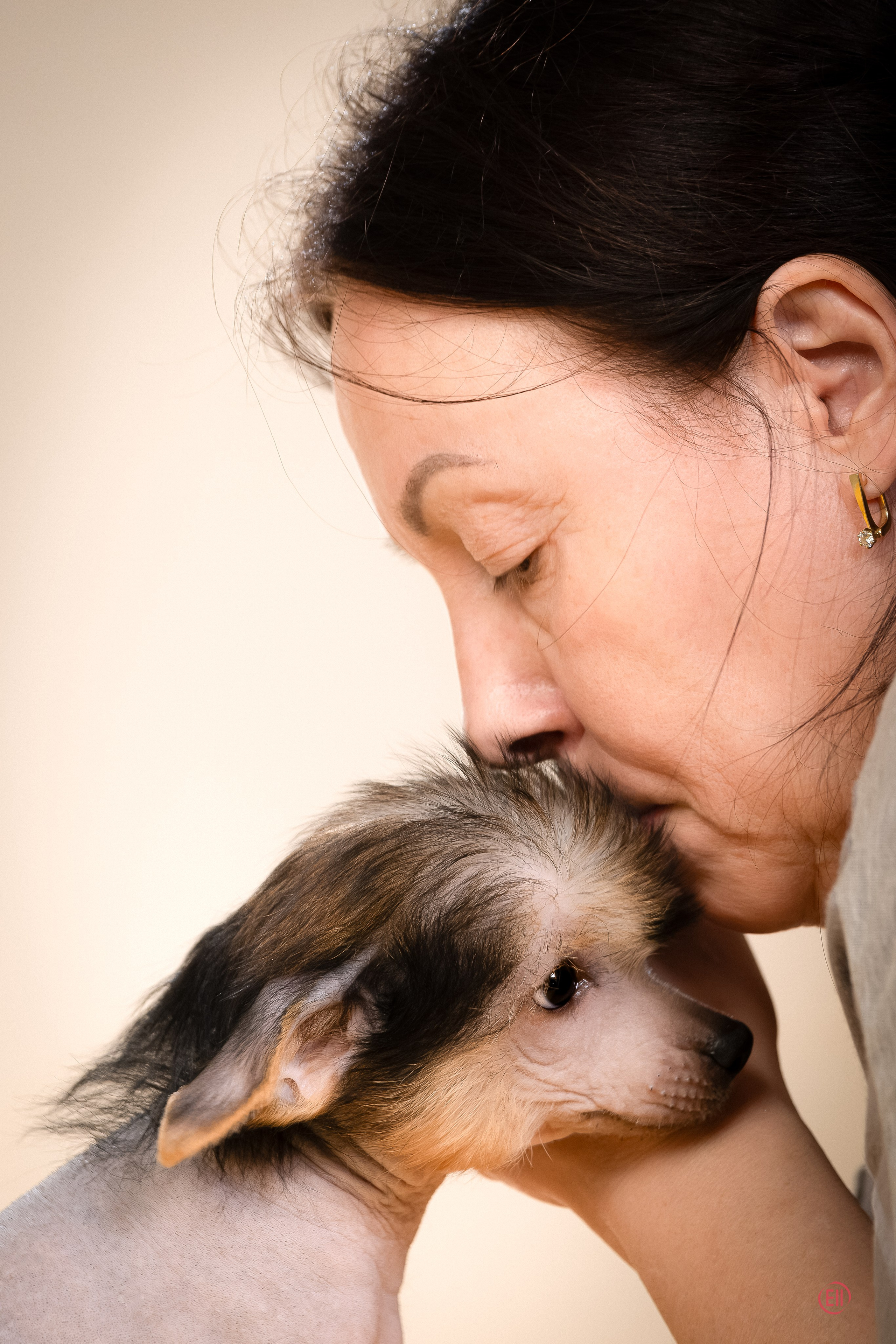 Poale Ell Zhan. Poale Ell Chinese Crested Dog Kennel: Buy a puppy from the kennel