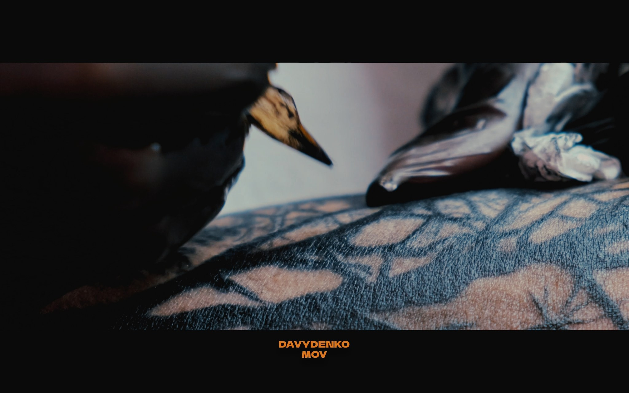 Частный Фотограф — Видеограф в Краснодаре (ЮФО)