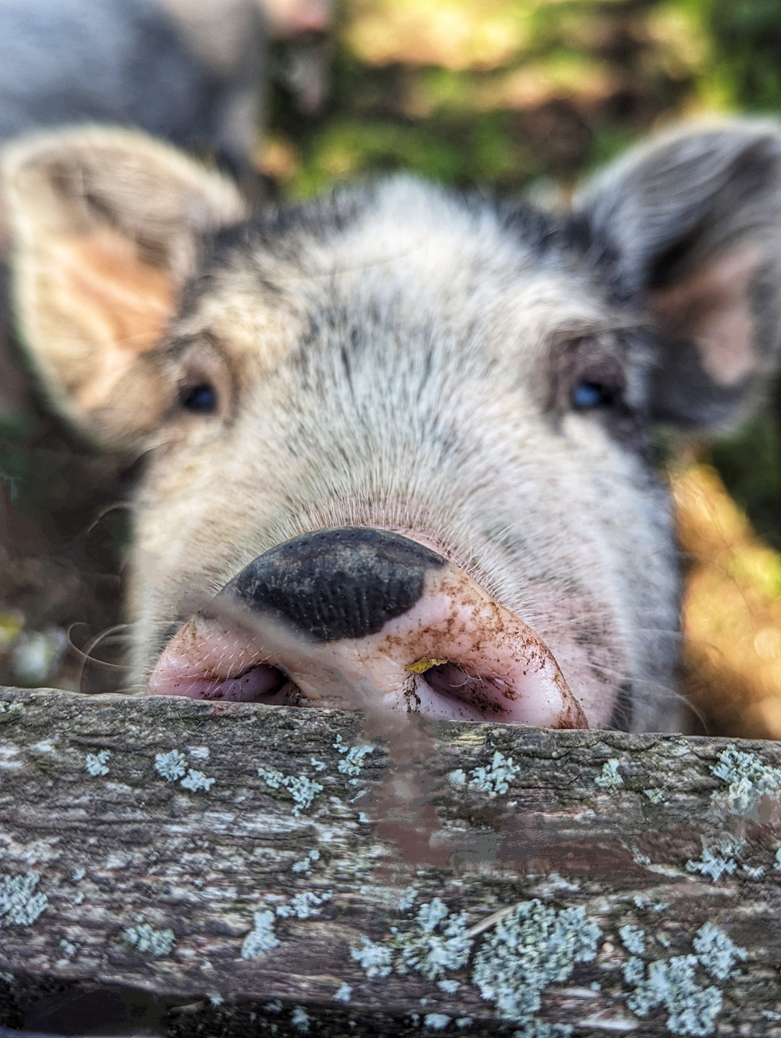Атмосферная натурная фотография. Любовь Каширская — фотограф для малого бизнеса и специалистов