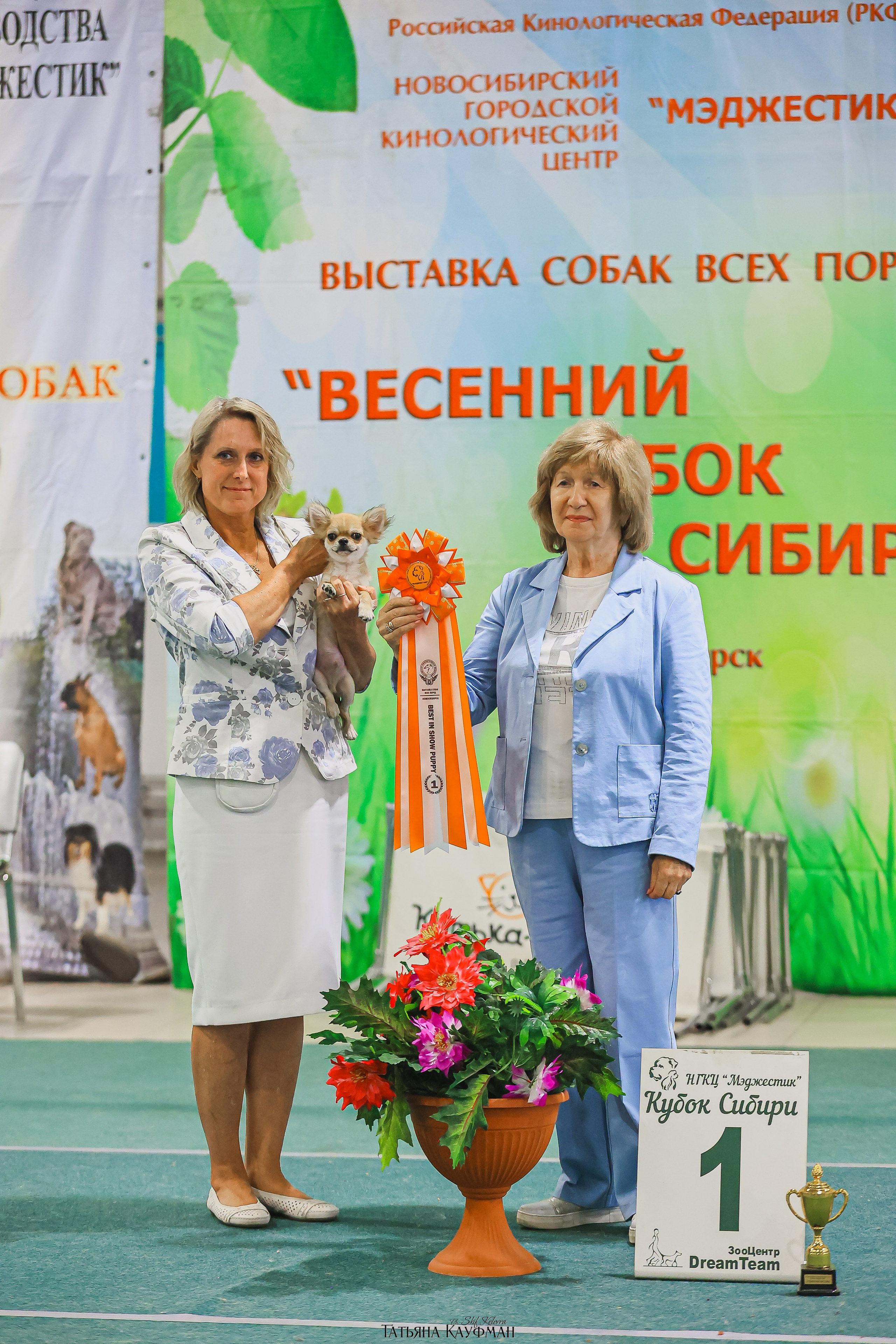 13.07.25 2х выставки собак. Новосибирск. «Кубок Сибири»