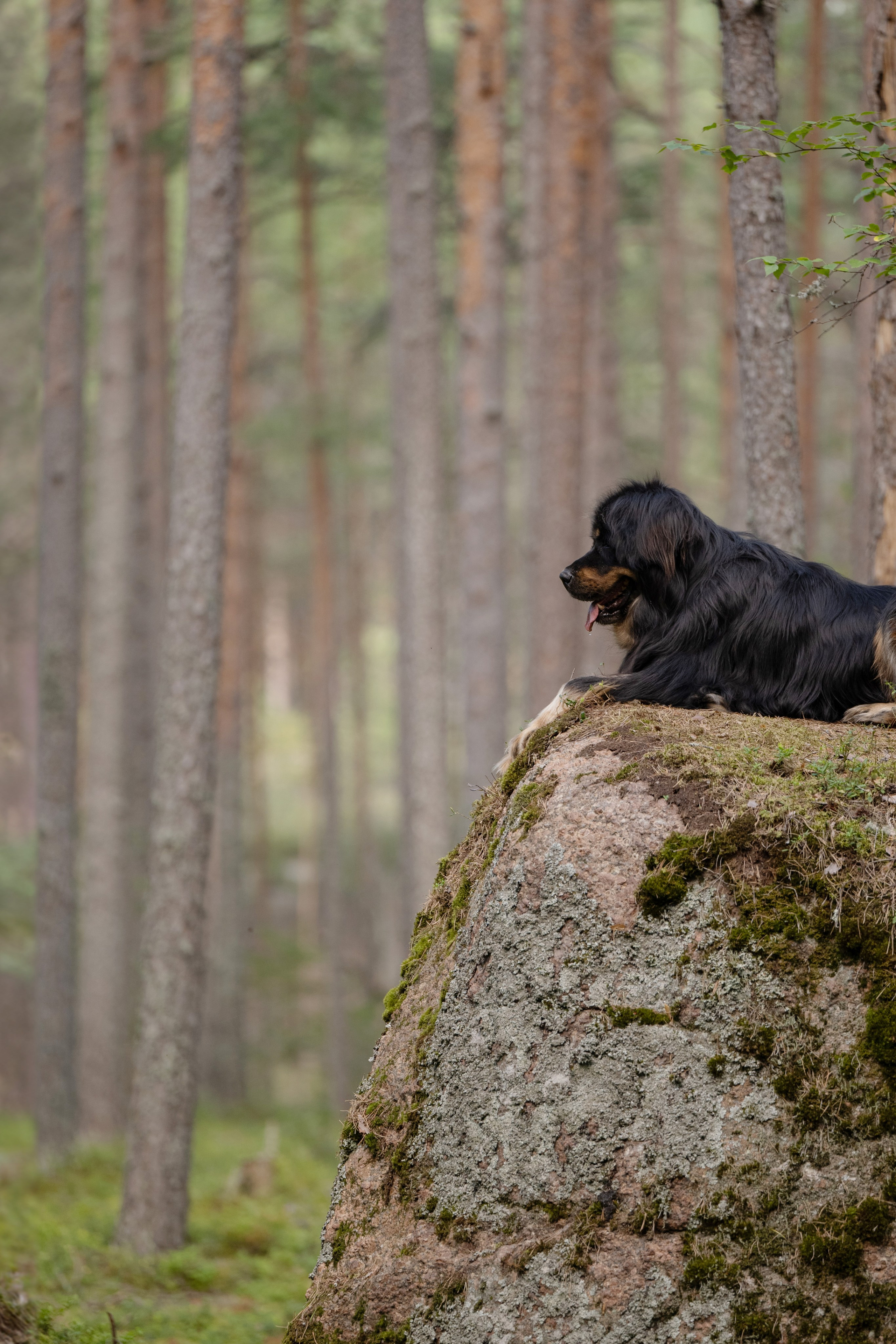 Мои Злата и Фред. -
