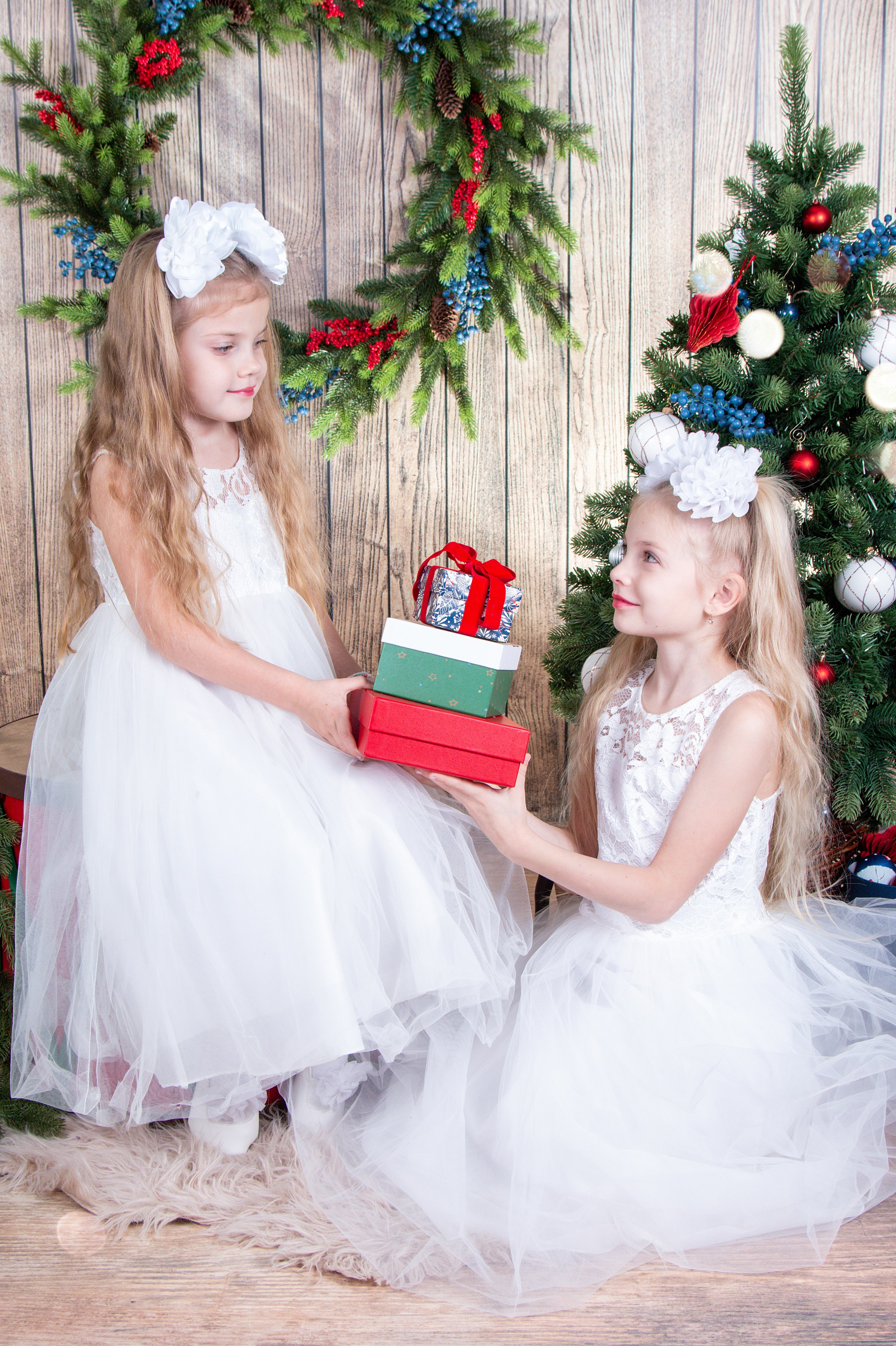 Портреты. Три Жирафа