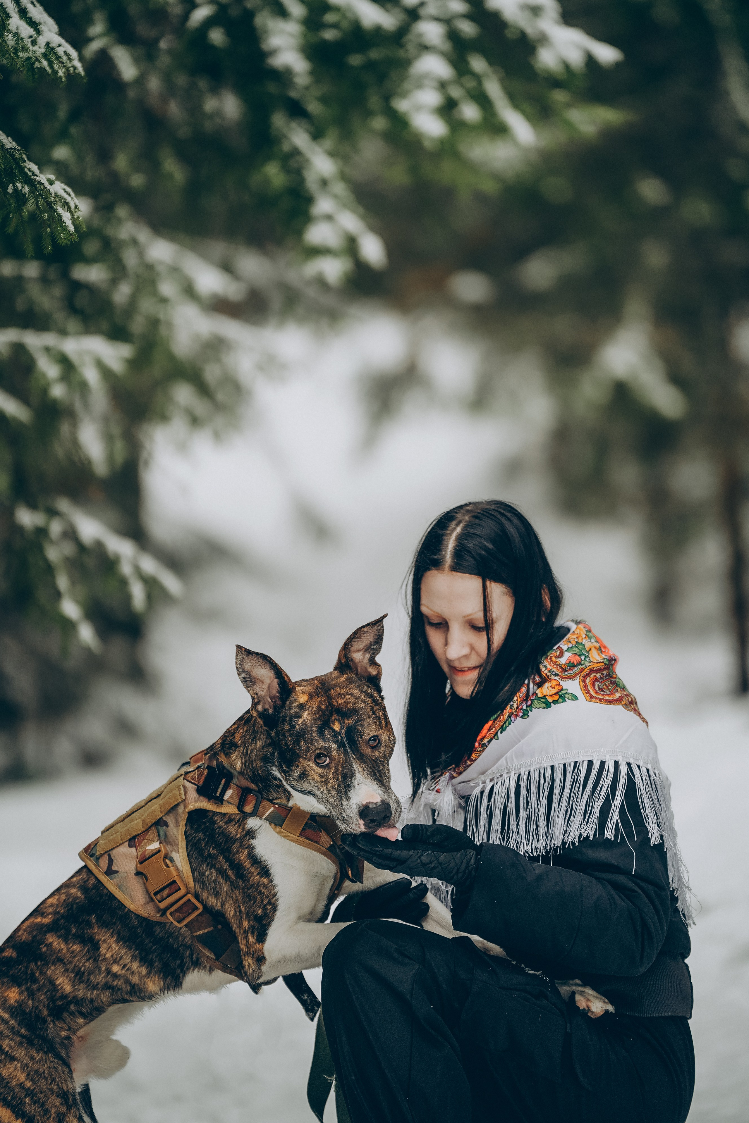 Гарм и Юна. Фотограф анималист в Спб недорого Олеся Майорова