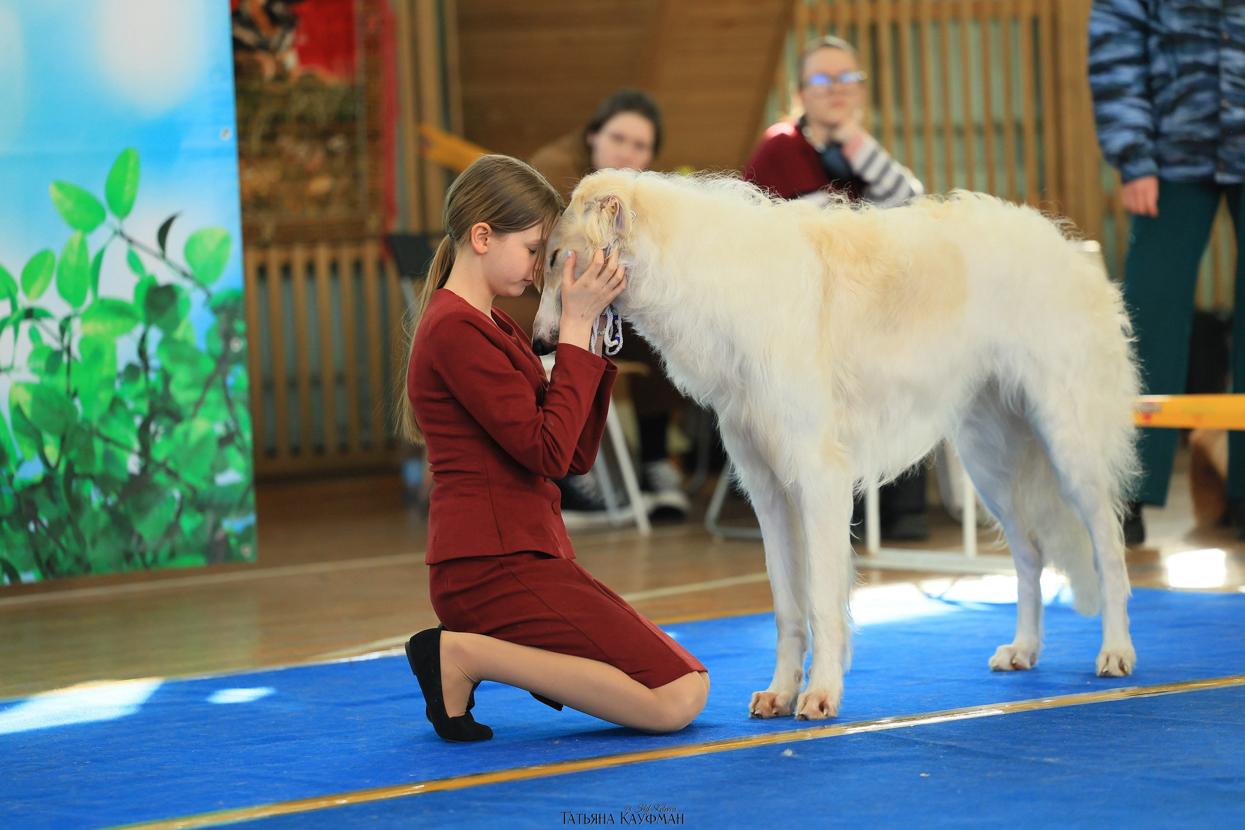 15.03.26 2х выставки собак в Новосибирске. Фотограф Анималист из Новосибирска Татьяна Кауфман