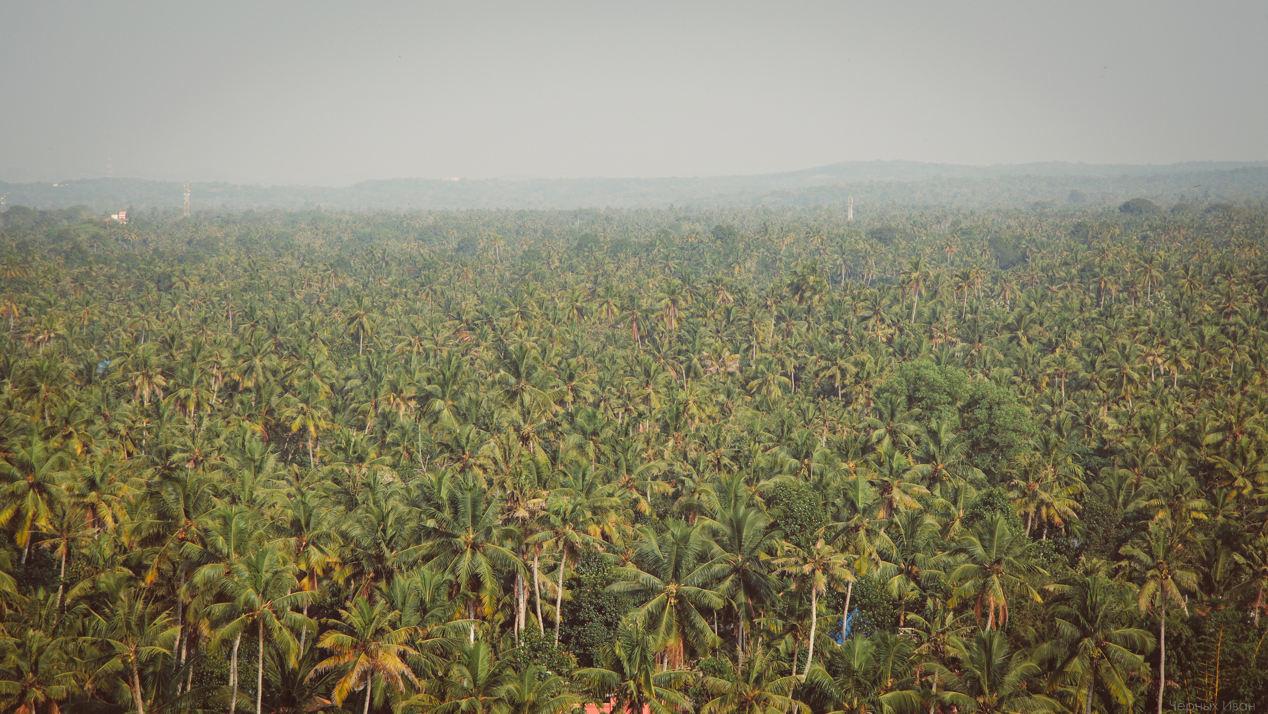 Стрит-фотография, полная абсурда, идиотизма и красоты