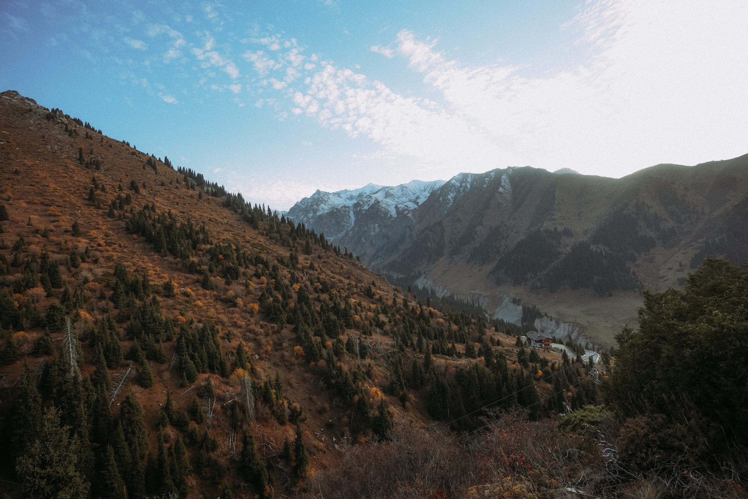 Стрит-фотография, полная абсурда, идиотизма и красоты