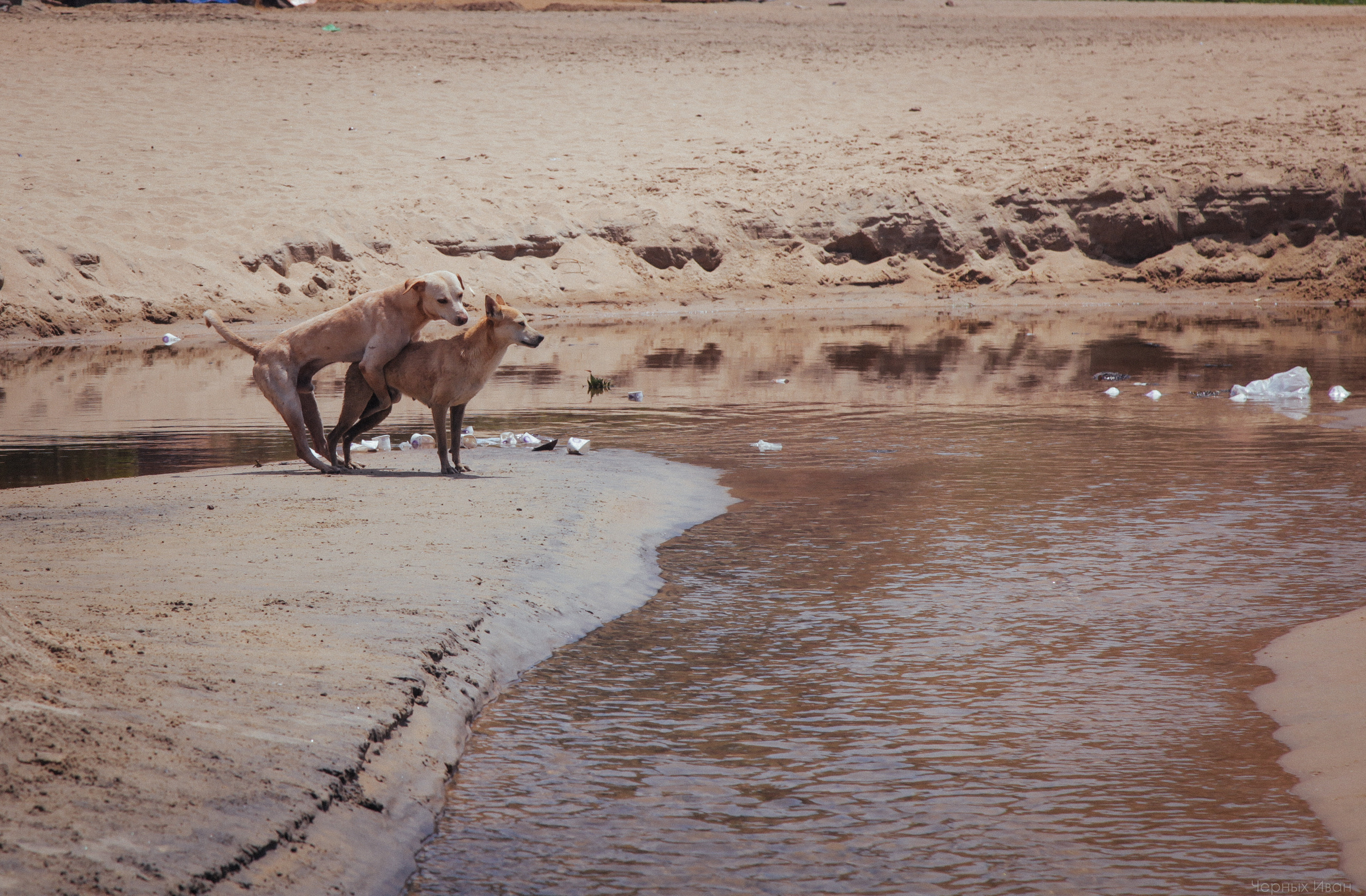Стрит-фотография, полная абсурда, идиотизма и красоты