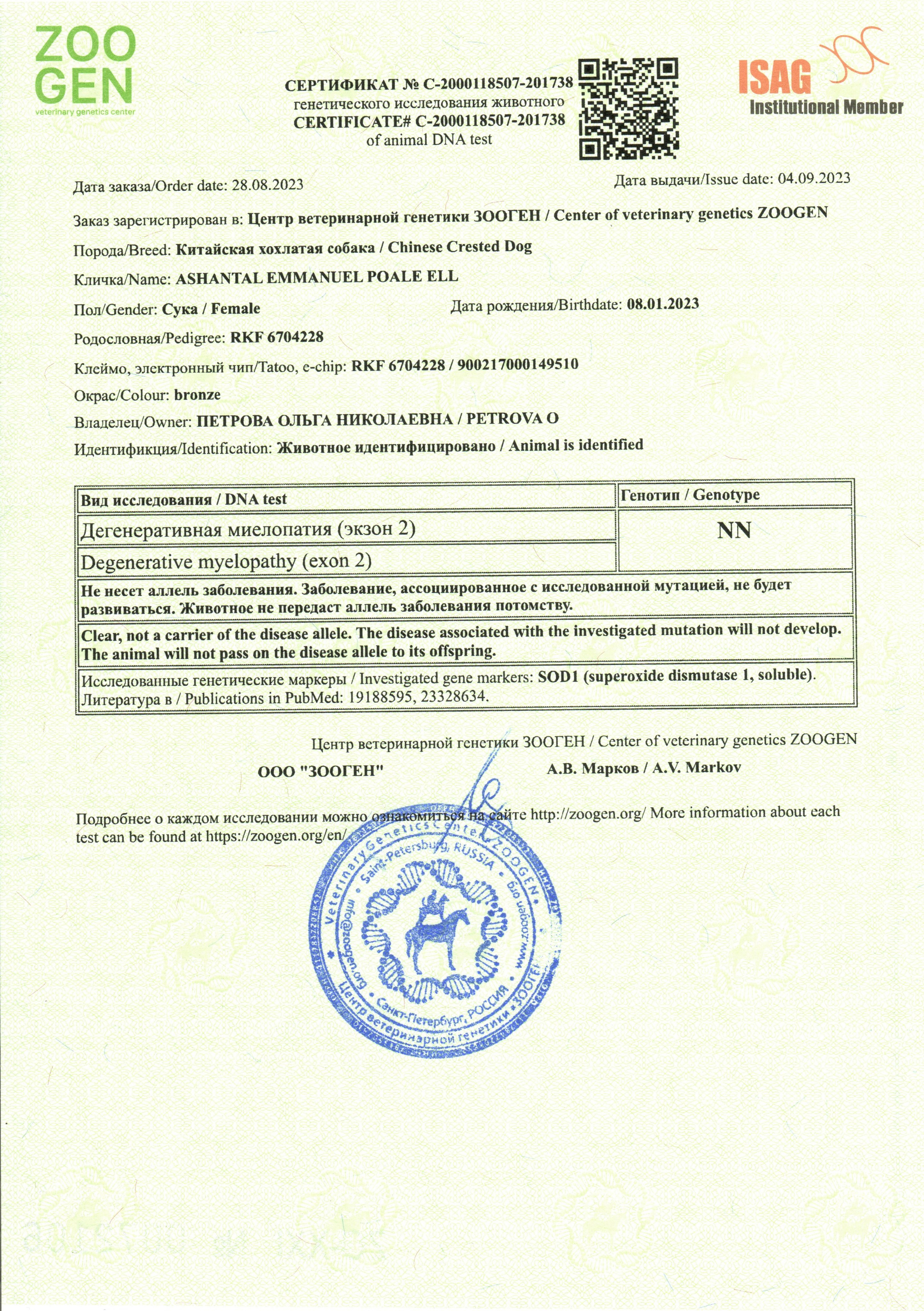 Ashantal Emmanuel Poale Ell. Chinese Crested Dog Kennel Poale Ell