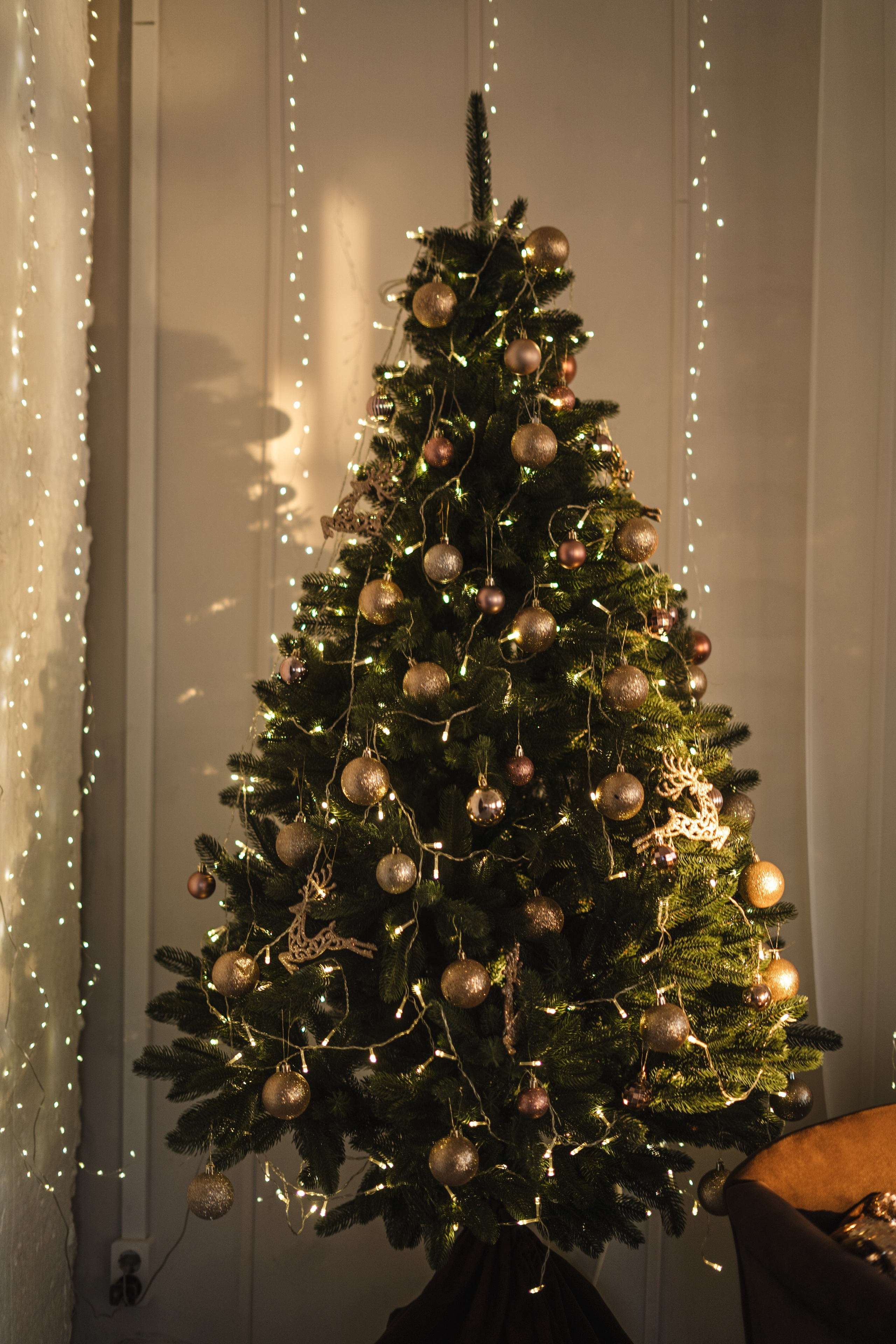 Фотостудия Импульс Новый год 2026 зал Life Лайф