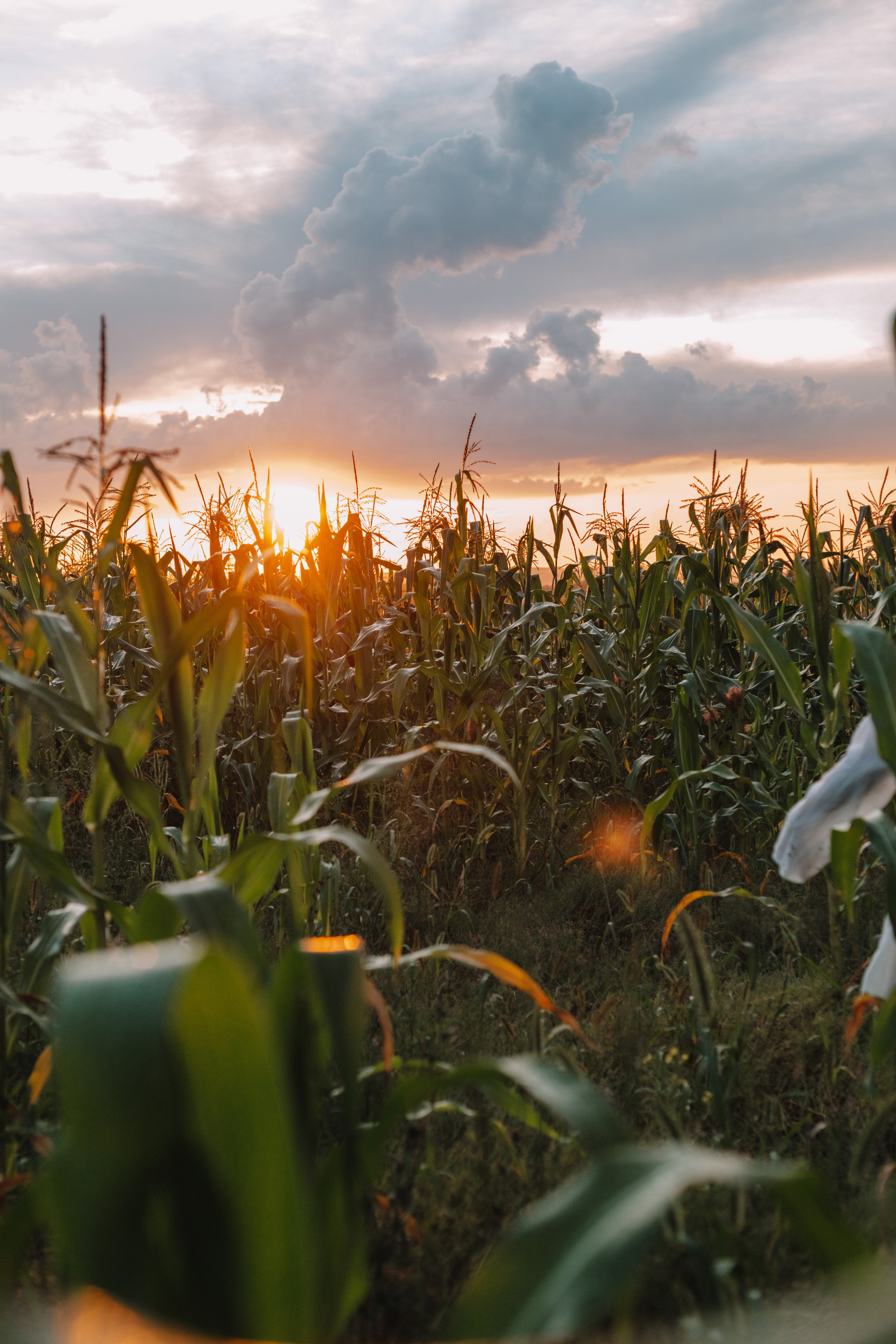Люди. Фотограф Олеся Кавлакан