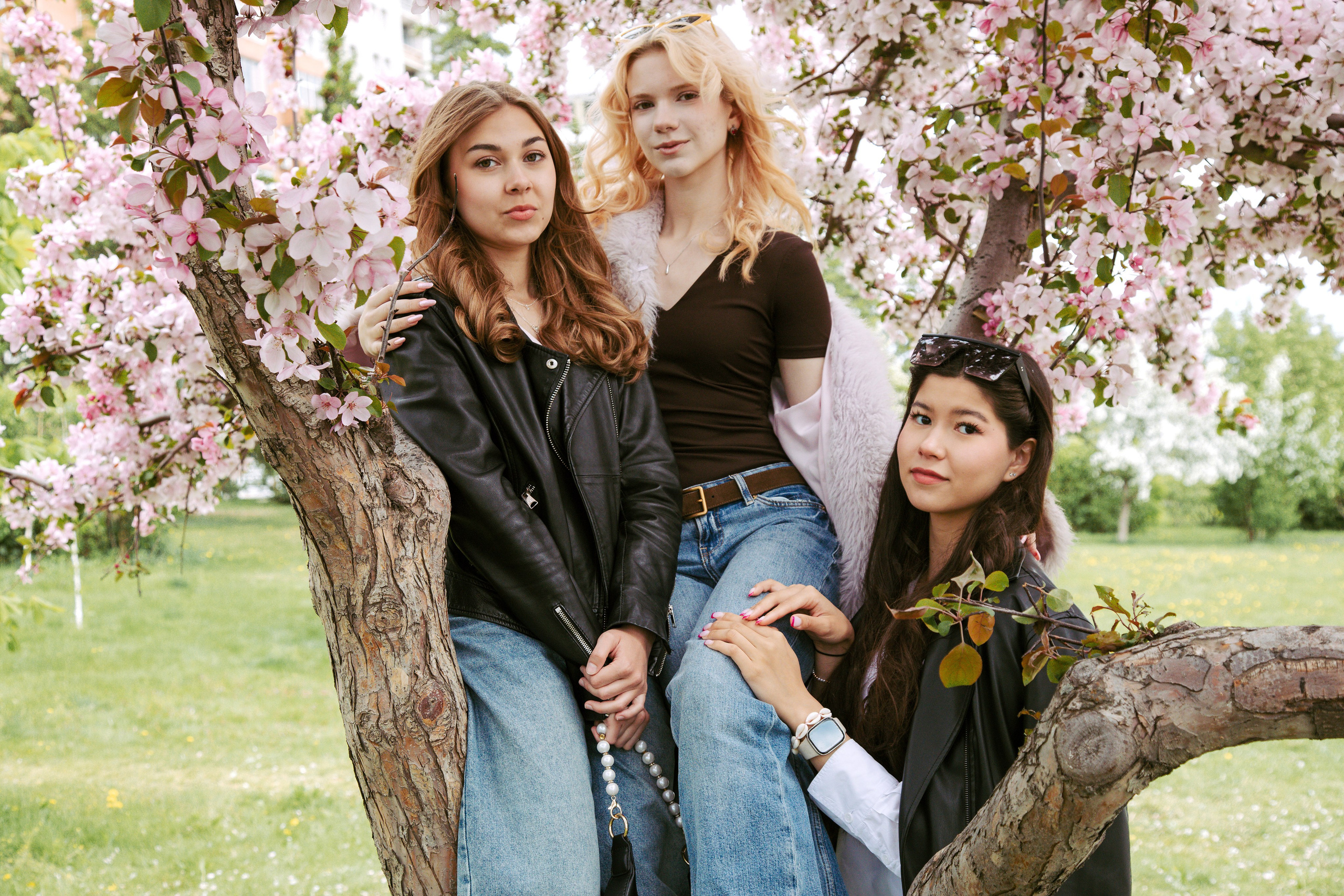 Выпускные альбомы в Красноярске. Студия Колибри