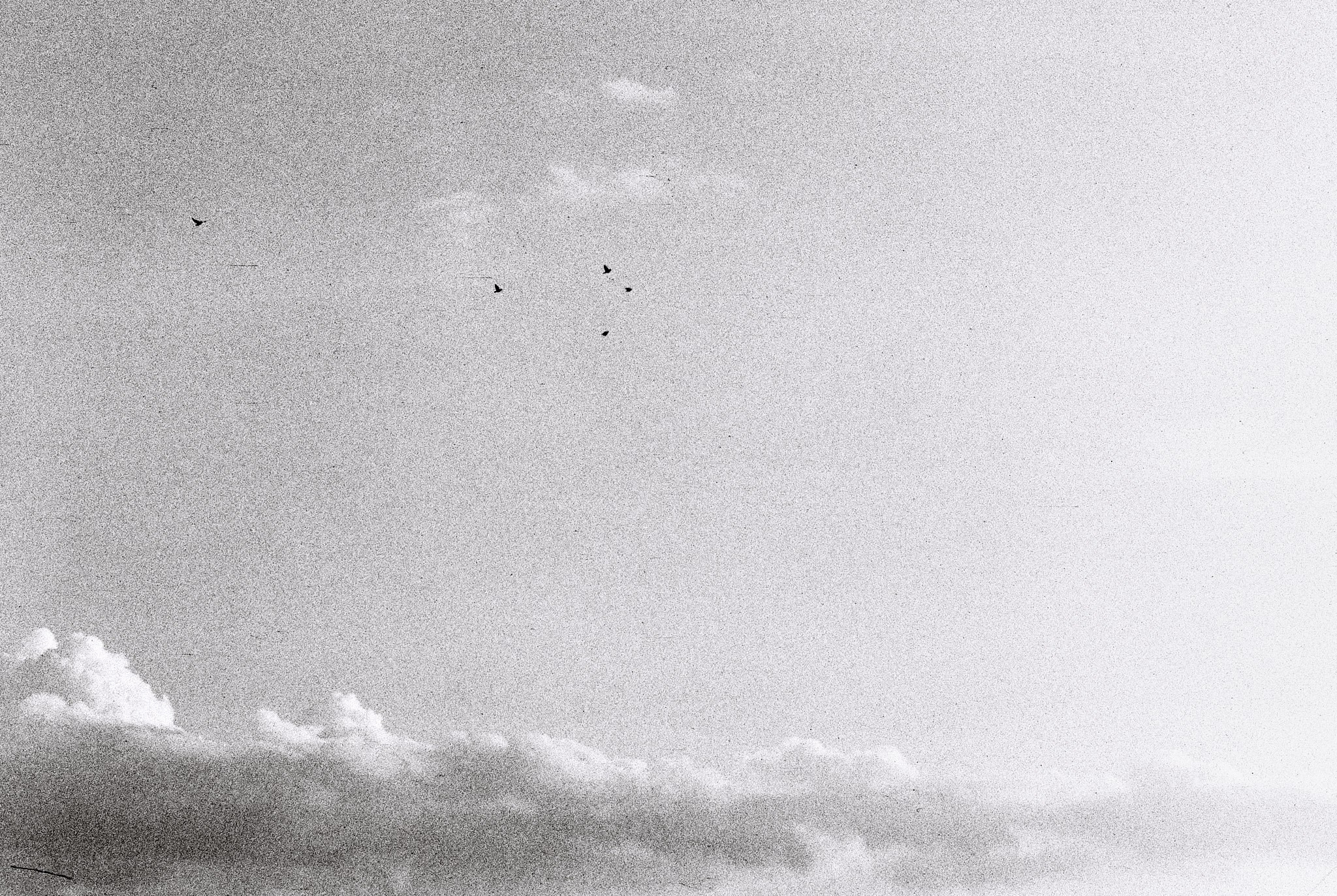 Пьюти-фьют. Игорь Скабелин