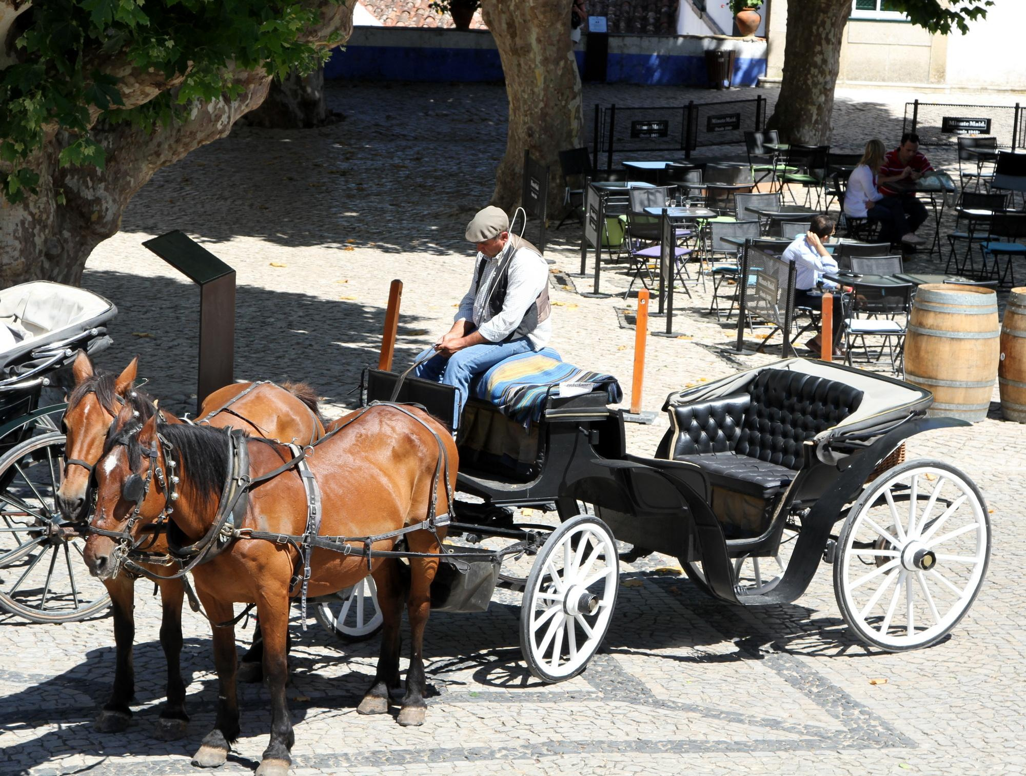 Алкобаса Баталья Обидуш