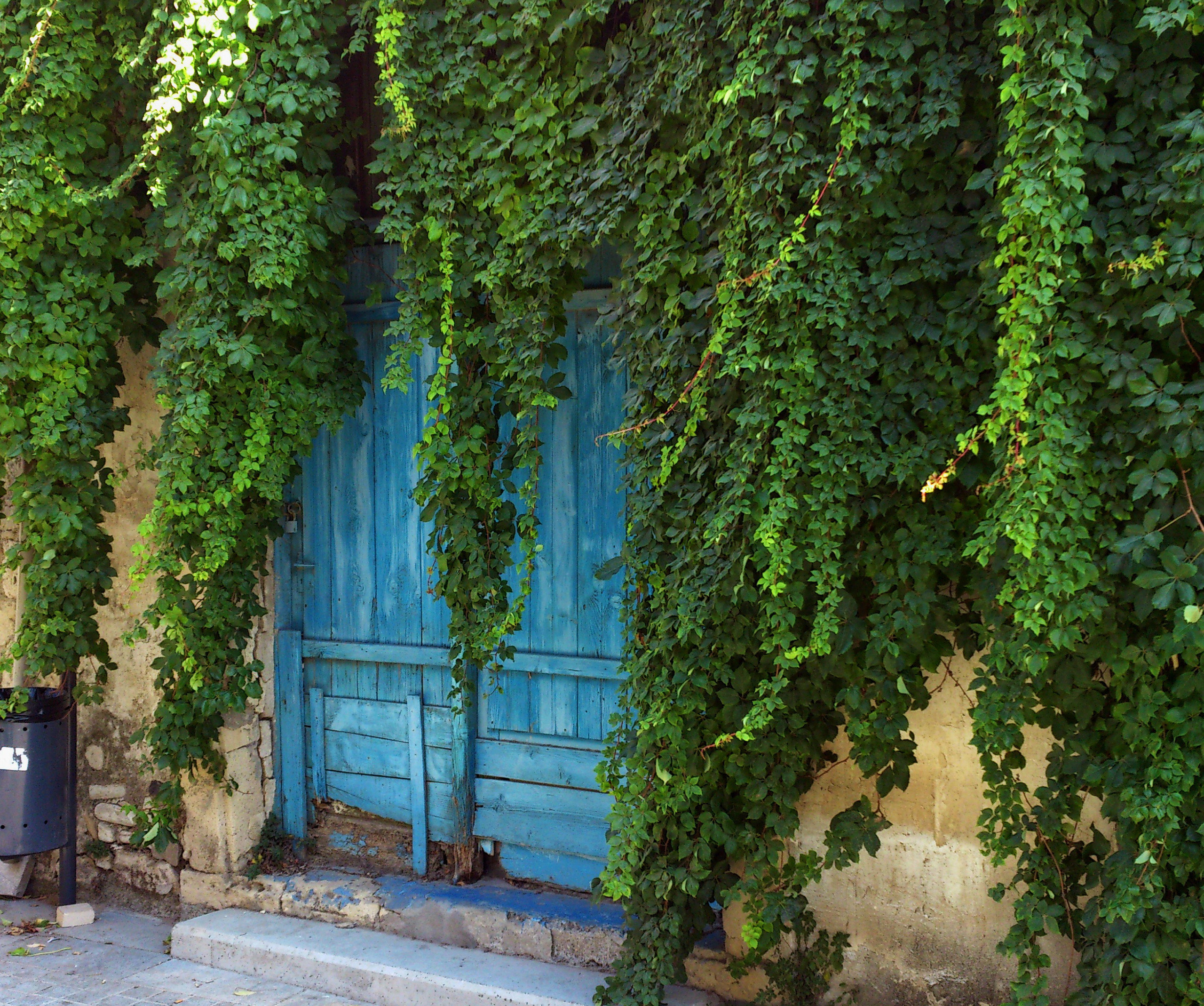 Старинные двери и окна