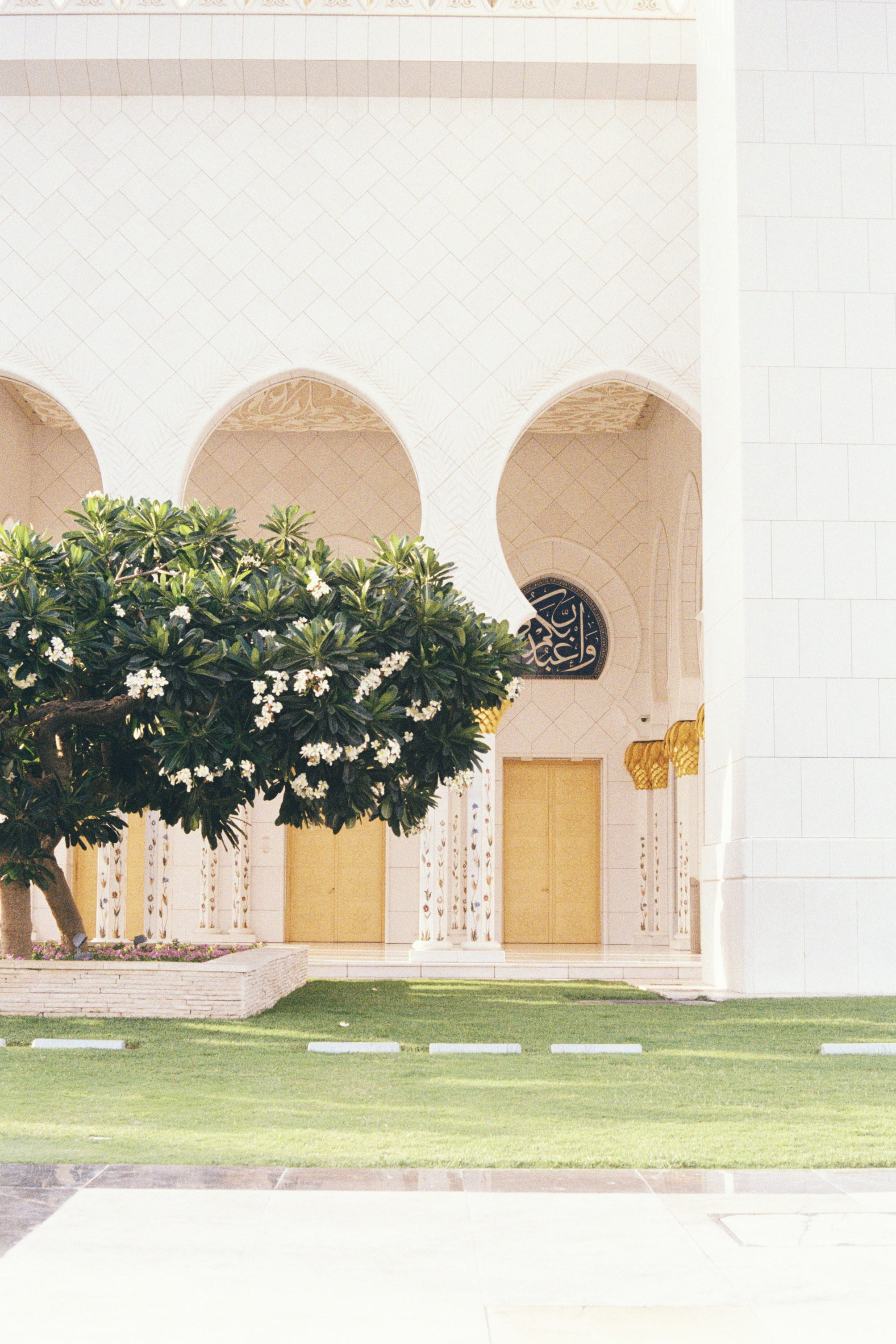 Dubai \ may 2024 \ film 35 mm. Коммерческий Фотограф Виктор Фоменых