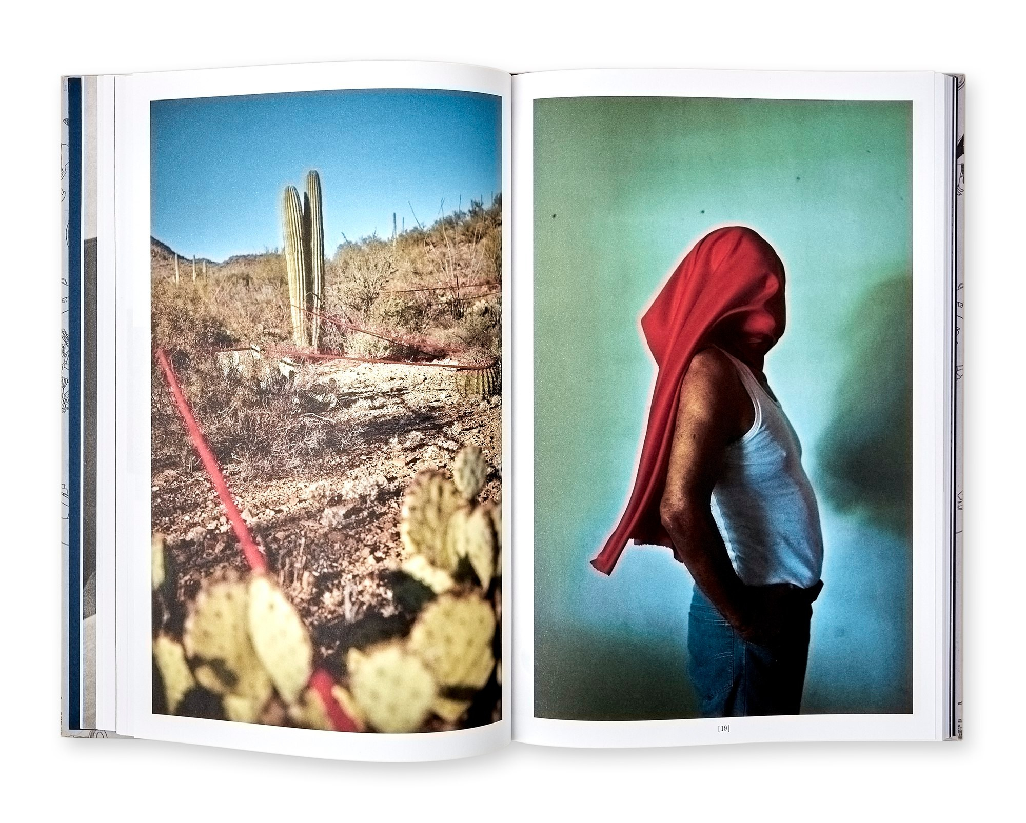 ОБЗОР АКТУАЛЬНЫХ ФОТОКНИГ: Путешествие к центру. Самоорганизация Низина