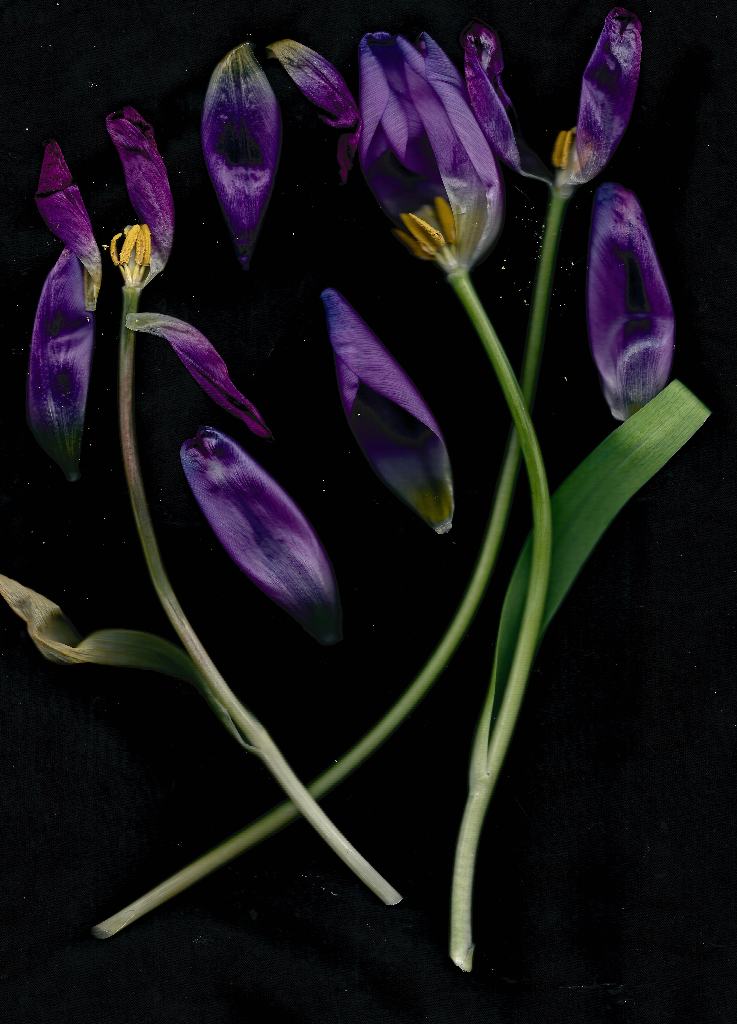 Скрытая иллюминация. Катрин Эдельвак