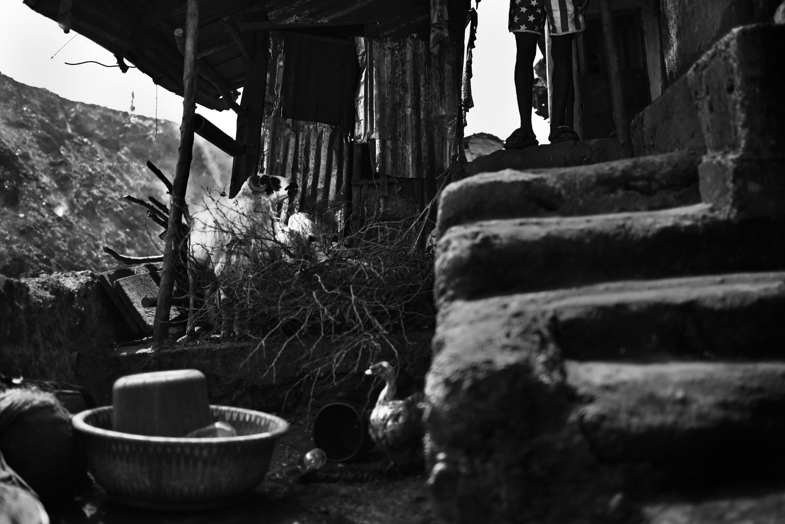 Documentary photographer vlad potapov