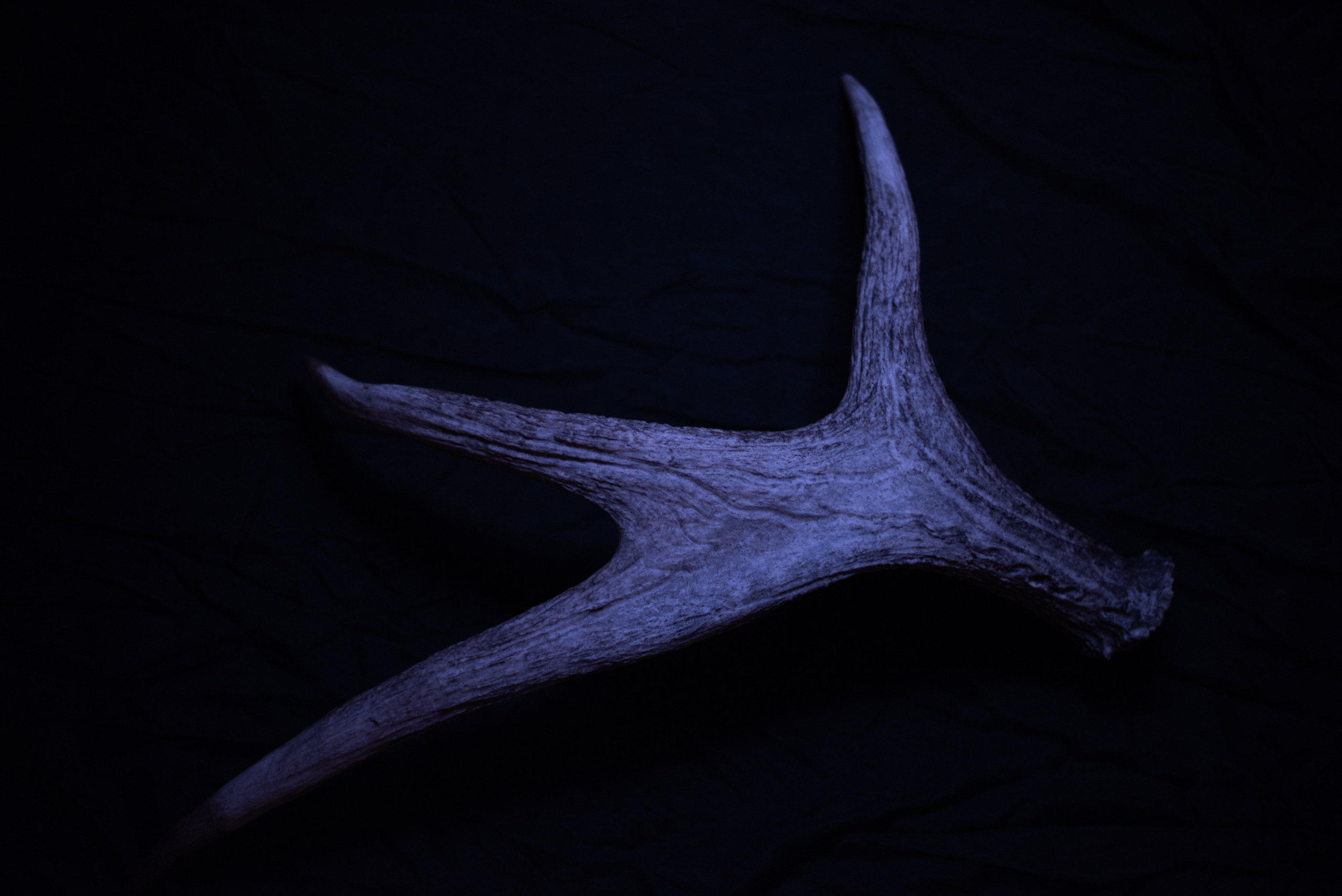 Inside Out (2024). Multidisciplinary Artist and Filmmaker Sofia Melikova