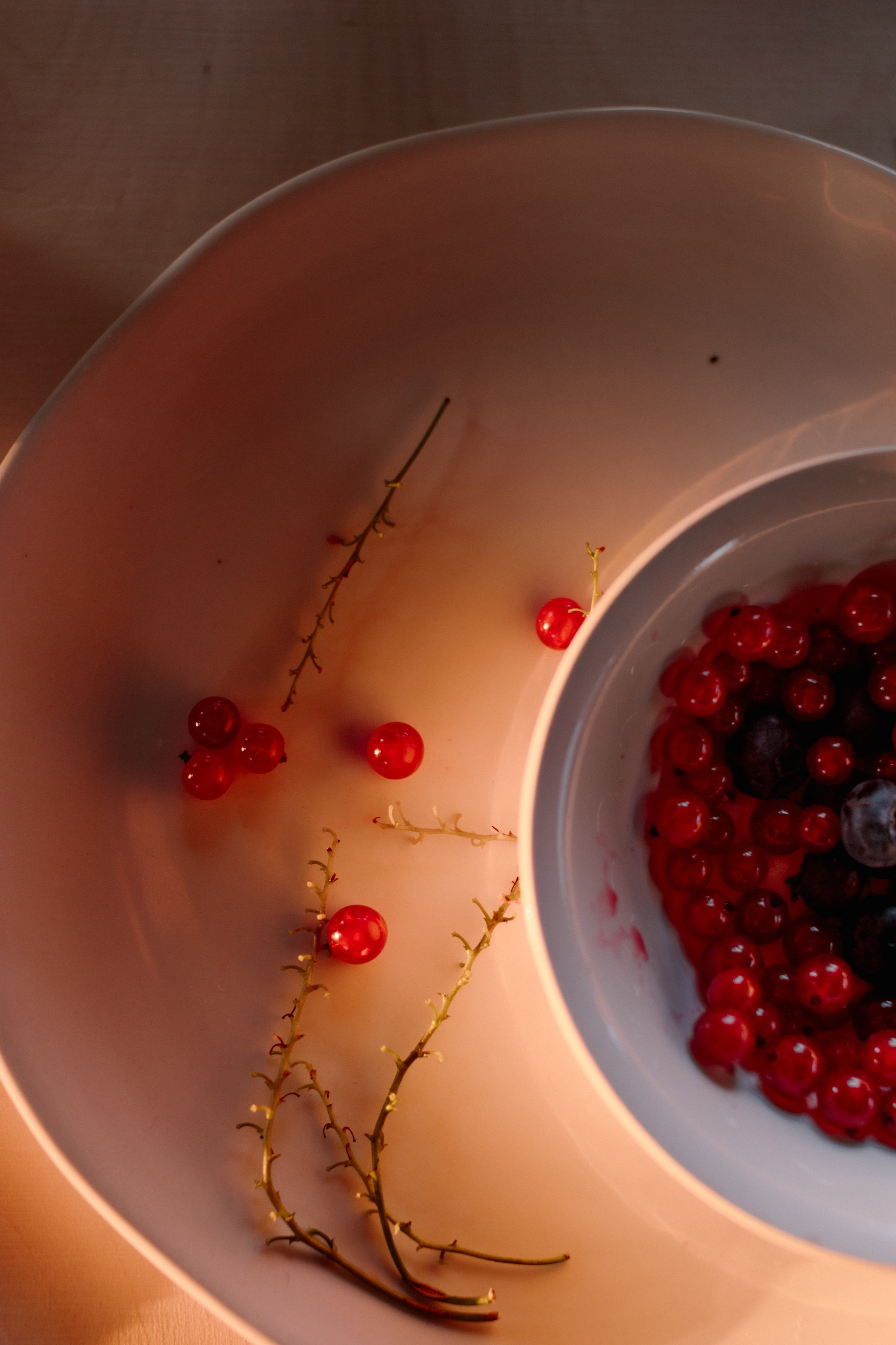 Василина и Михаил. Репортажный и портретный фотограф во Владимире Сергей Кравцов