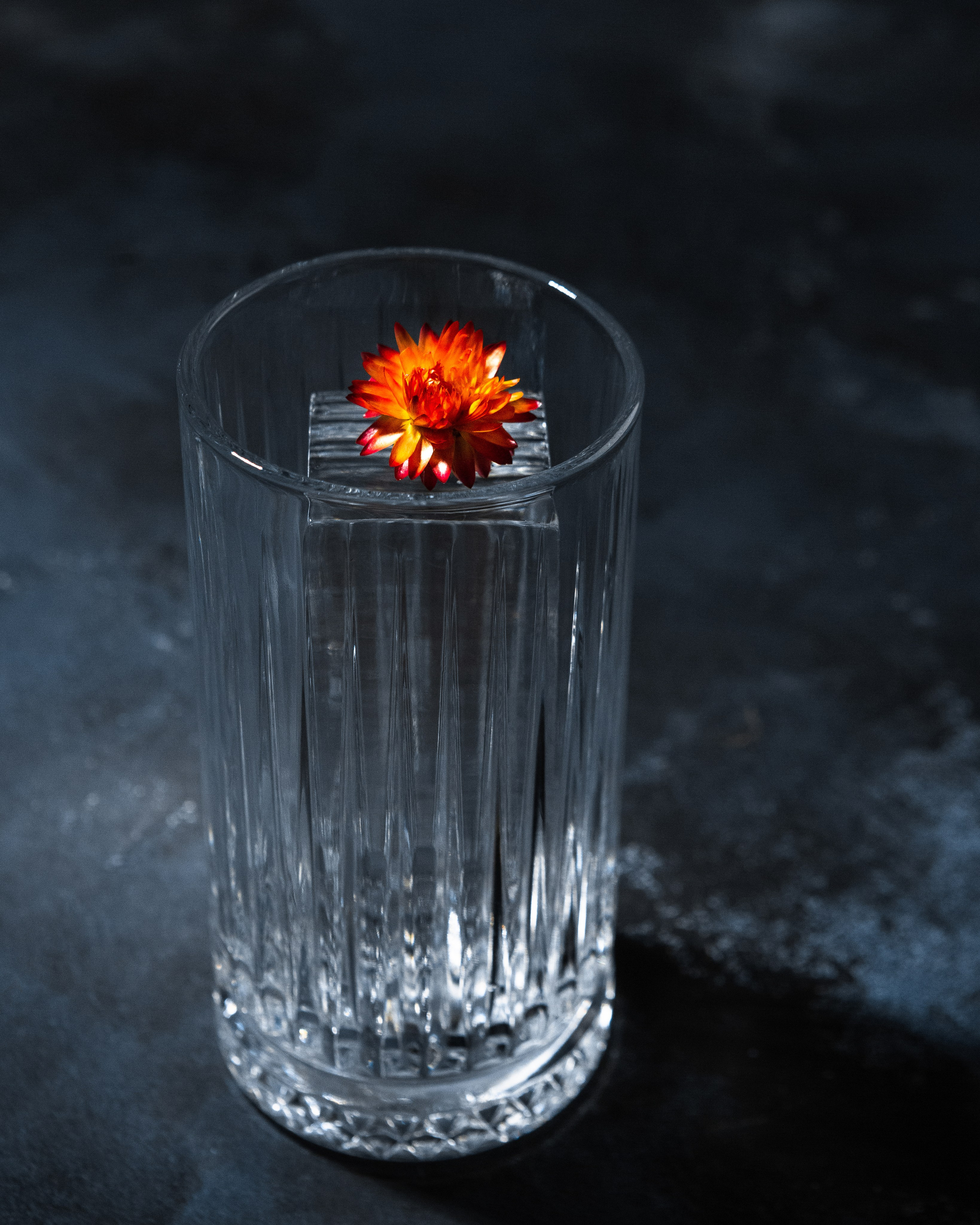 Фотосъемка льда для коктейлей в Смоленске. Фотограф | Михаил Буш Смоленск