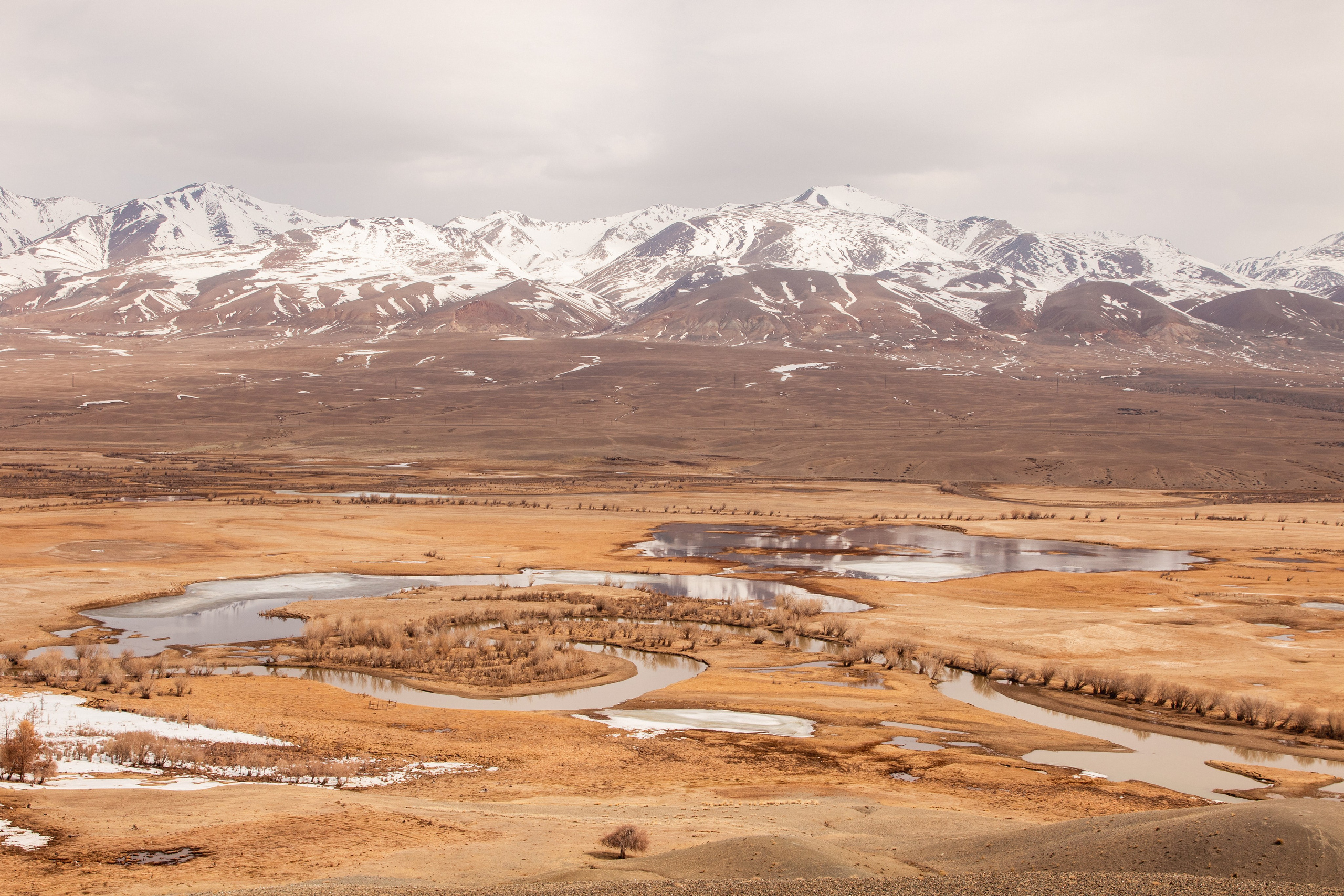Подберу кадр под ваш интерьер и настроение. Фотограф Кирилл Мешков Кемерово