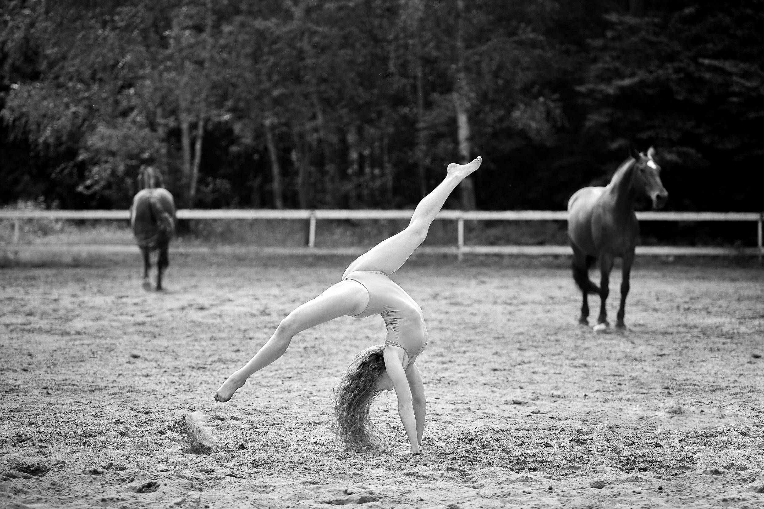 Балет и лошади, фотосессия «ГРАЦИЯ и СИЛА-1» Фотограф Михаил Семенов г. Ярославль