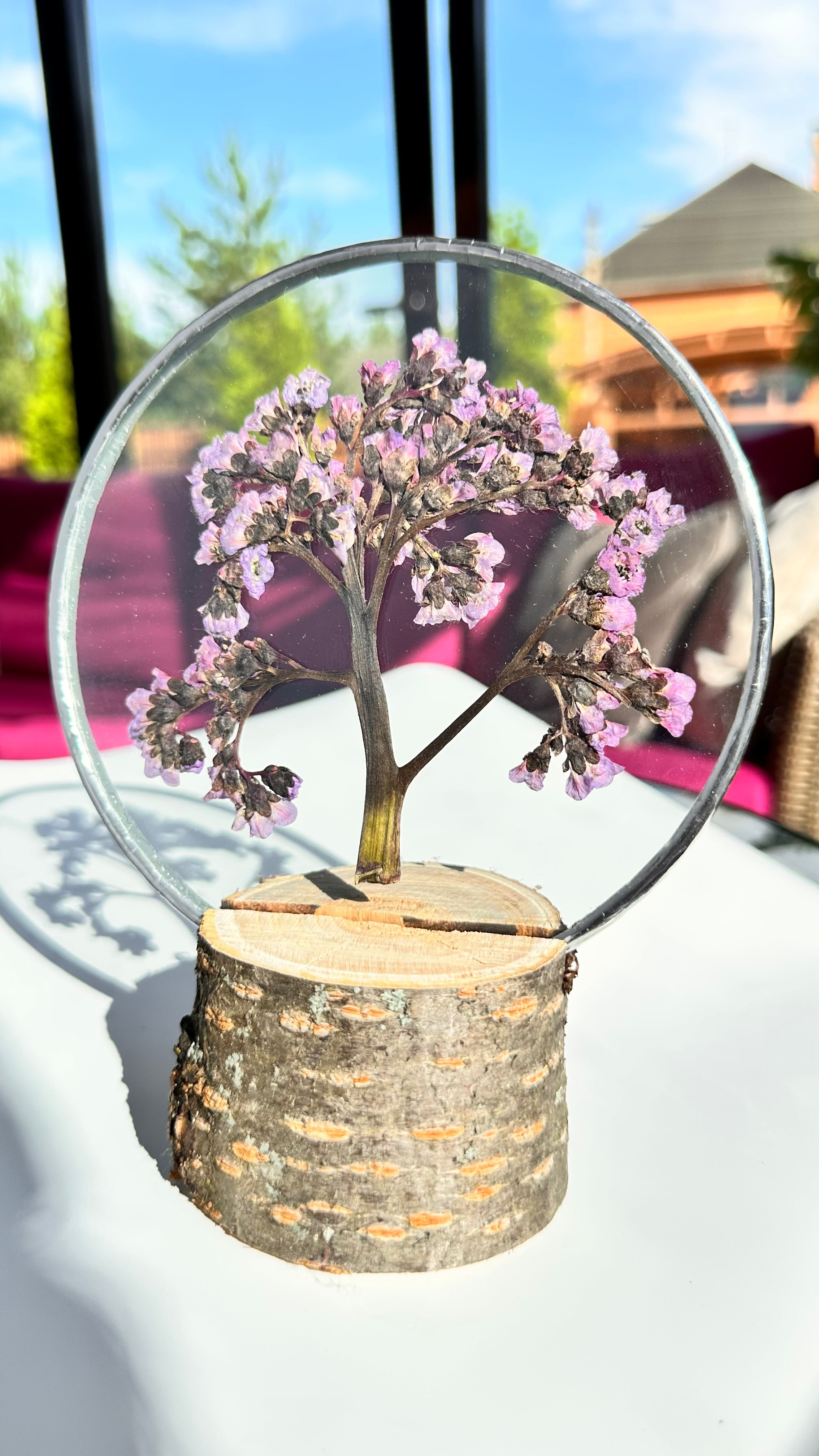 Бадан Круг 15 см. Оформляю пространства. Витражи с сухоцветами в технике Тиффани