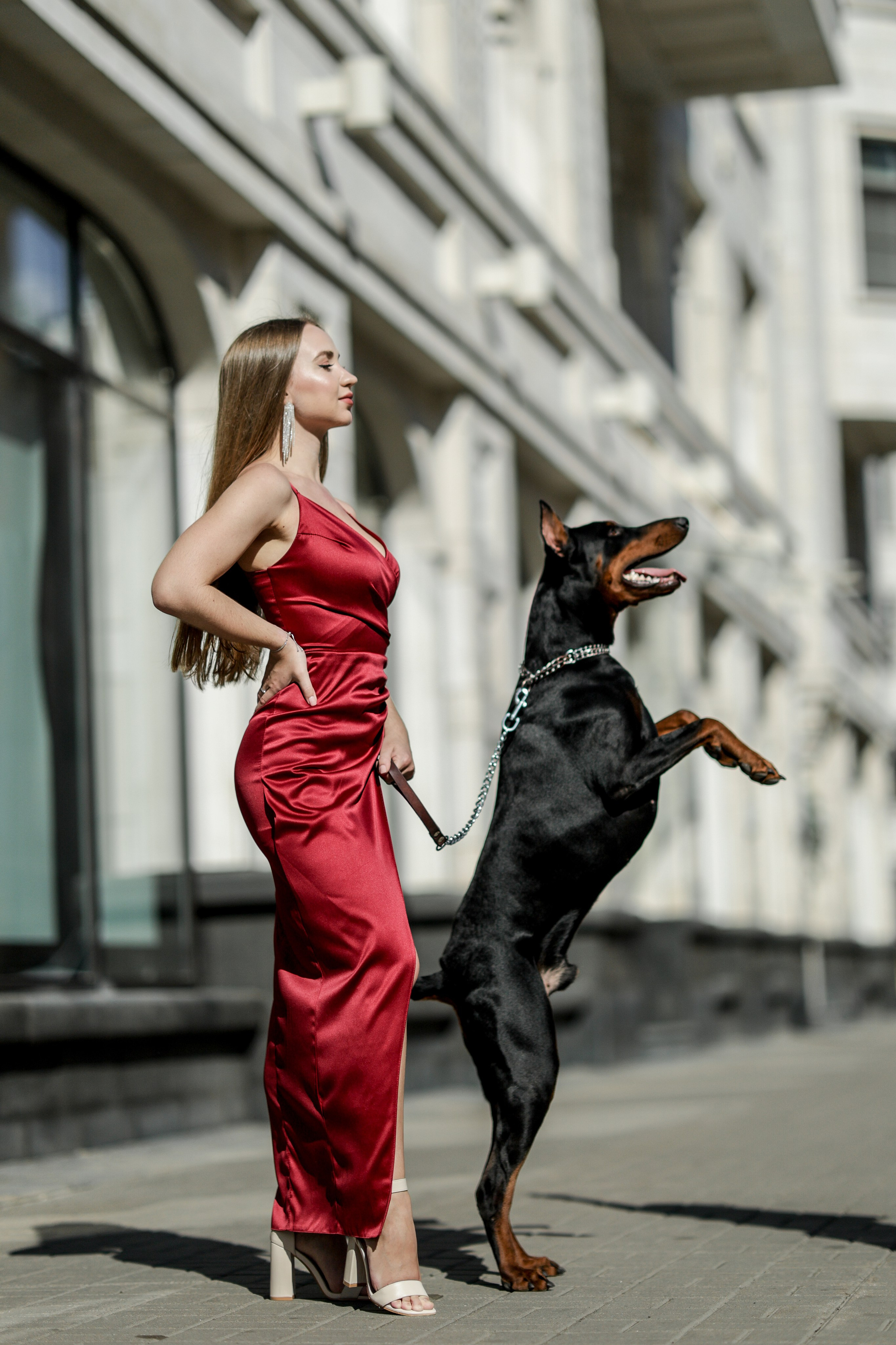 Фотосессия с доберманом. Твой снимок СПб