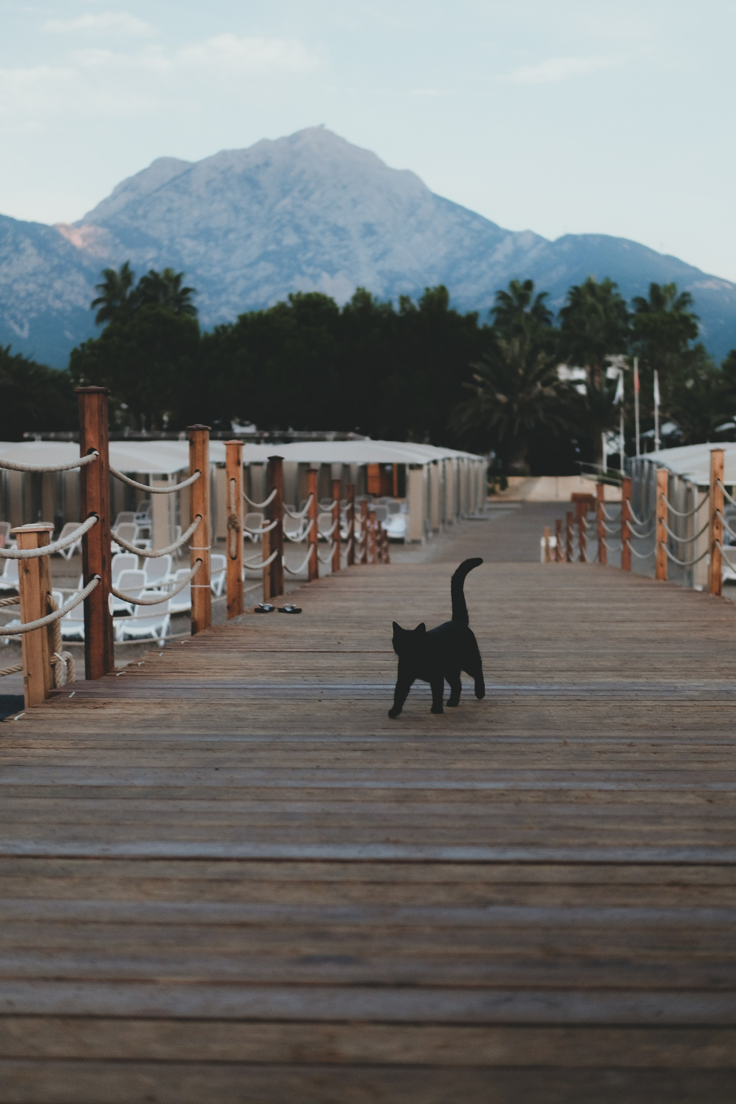 Kemer, Tekirova. Фотограф/Видеограф из Саратова